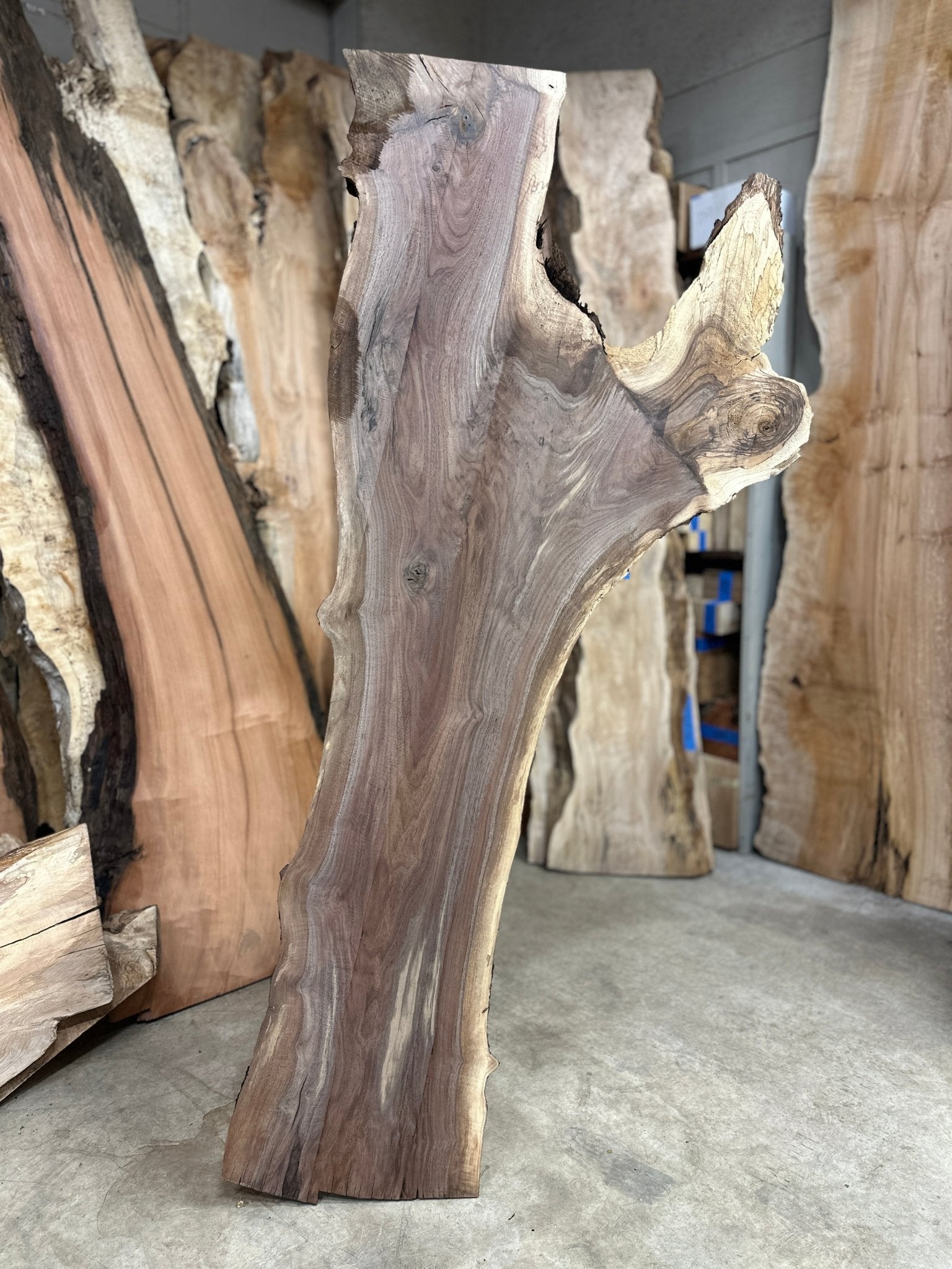 LiveEdge Black Walnut | Black Walnut | Double Diamond