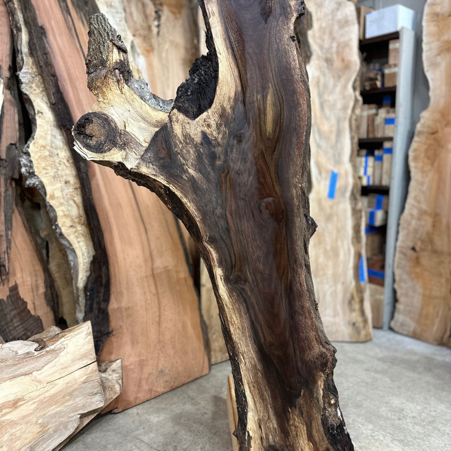 LiveEdge Black Walnut | Black Walnut | Double Diamond