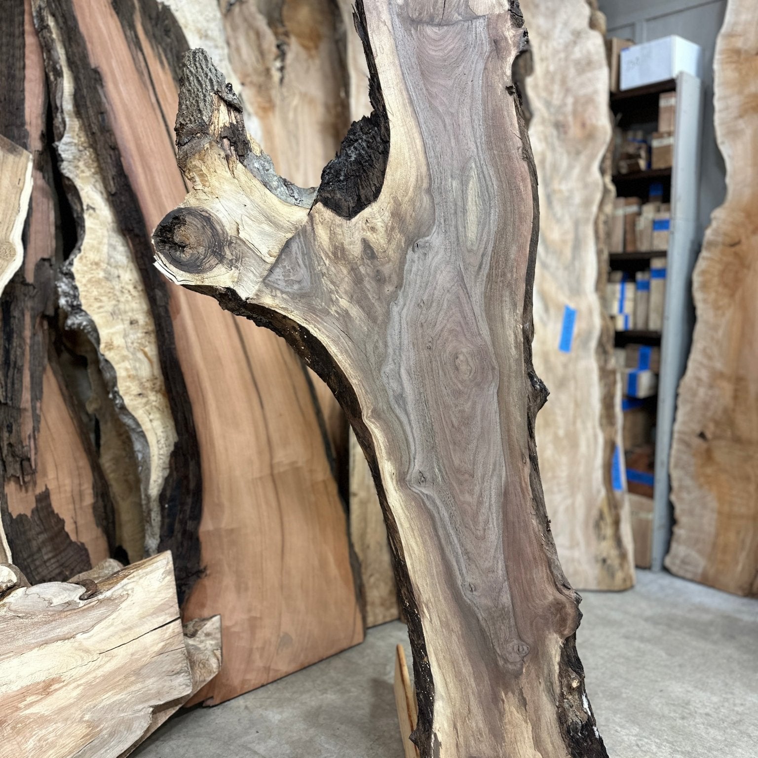 LiveEdge Black Walnut | Black Walnut | Double Diamond