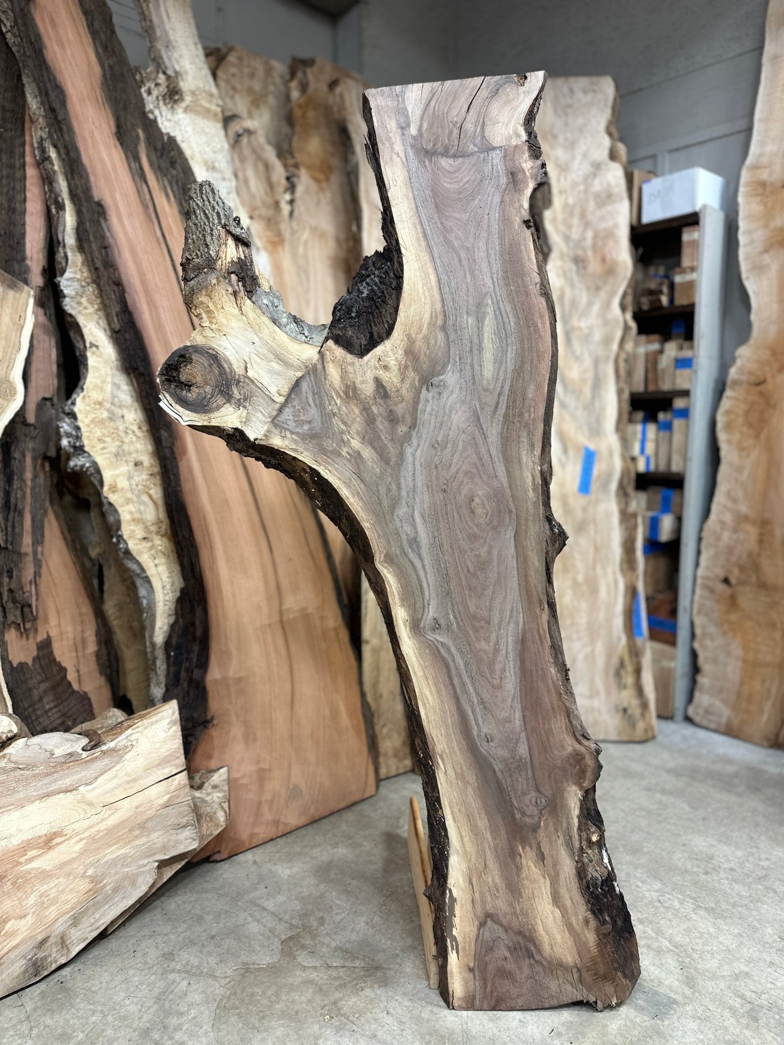 LiveEdge Black Walnut | Black Walnut | Double Diamond