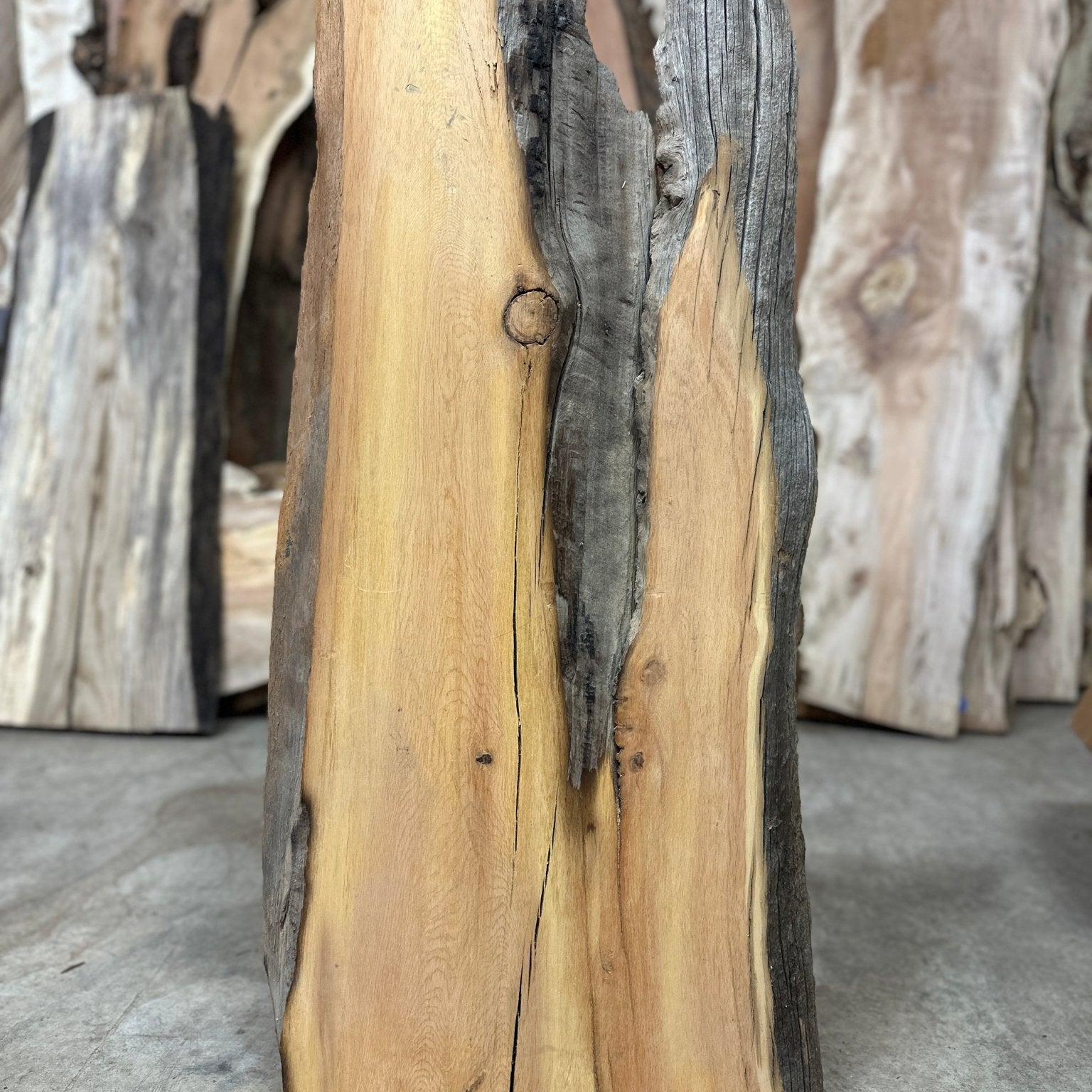 LiveEdge Bristlecone Pine | Bristlecone Pine | Hamilton Lee Supply