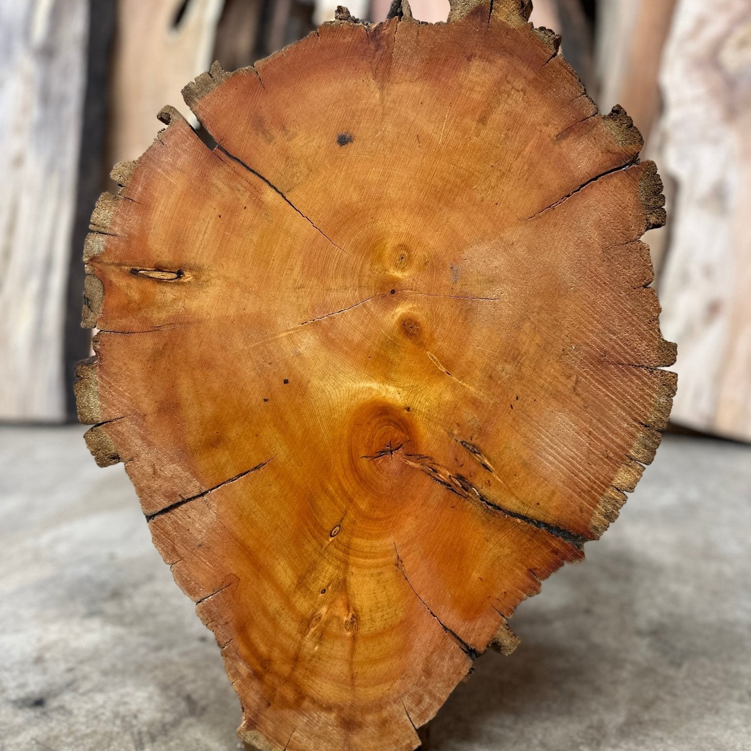 LiveEdge Bristlecone Pine | Bristlecone Pine | Hamilton Lee Supply