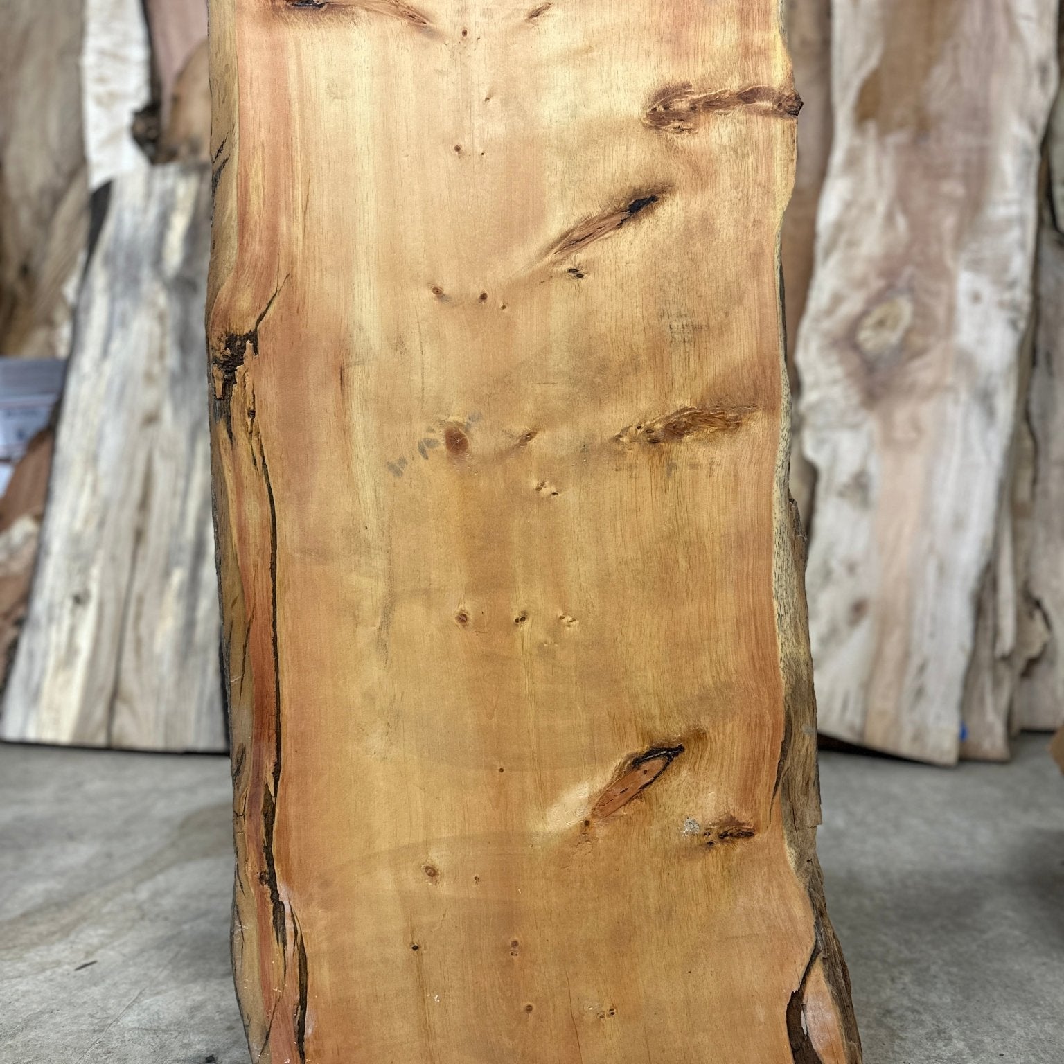 LiveEdge Bristlecone Pine | Bristlecone Pine | Hamilton Lee Supply