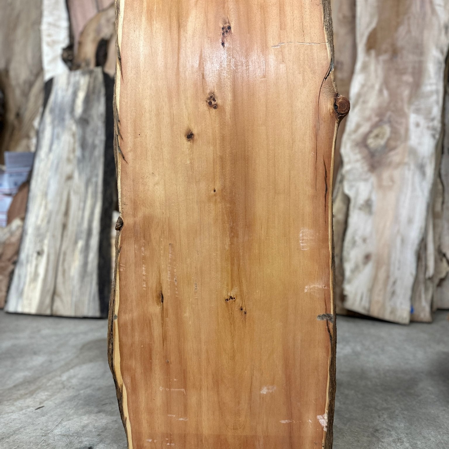 LiveEdge Bristlecone Pine | Bristlecone Pine | Hamilton Lee Supply