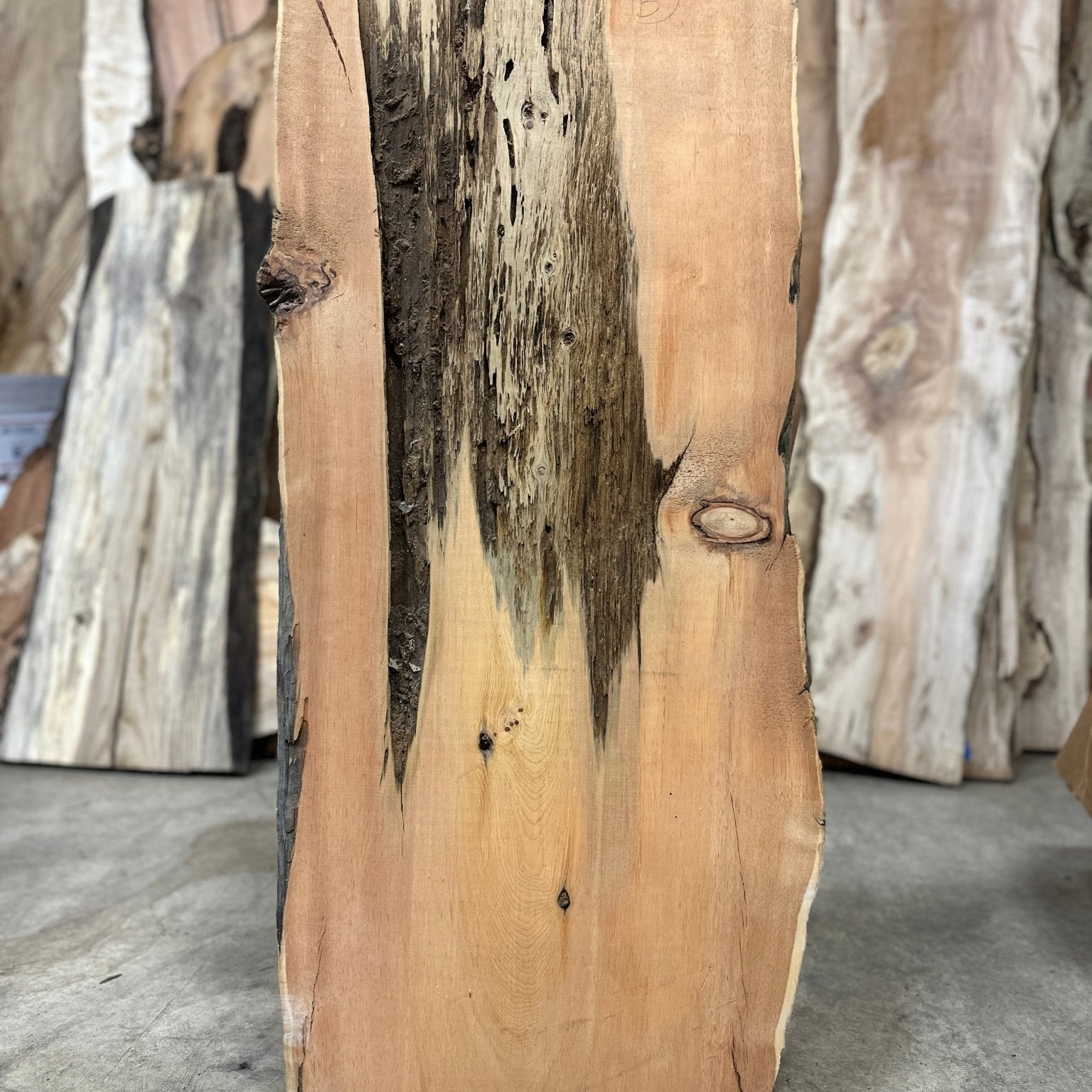 LiveEdge Bristlecone Pine | Bristlecone Pine | Hamilton Lee Supply