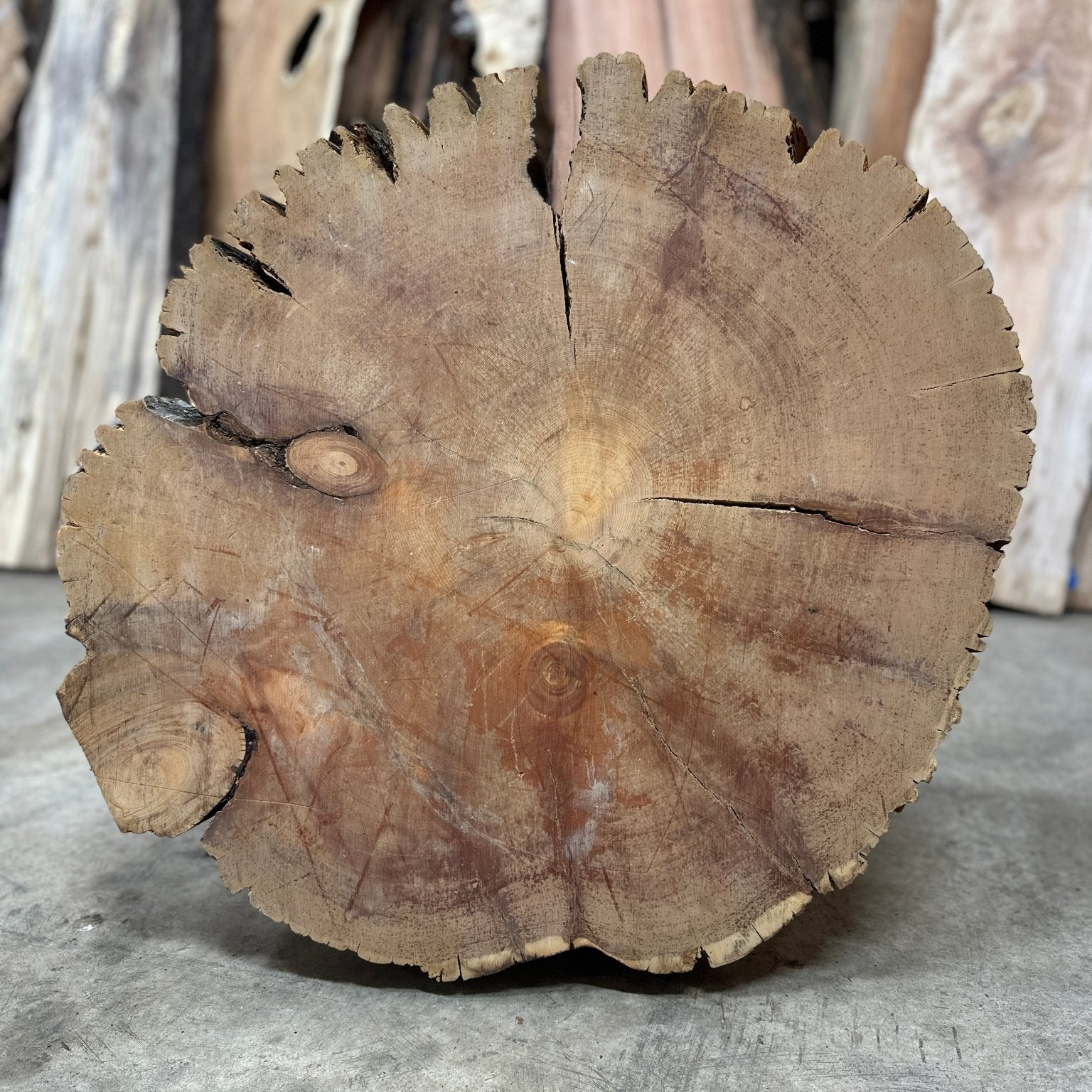 LiveEdge Bristlecone Pine | Bristlecone Pine | Hamilton Lee Supply