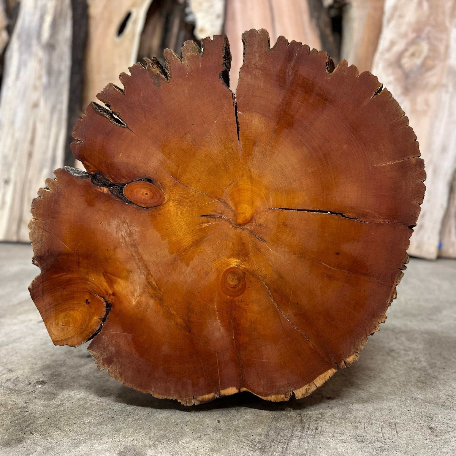 LiveEdge Bristlecone Pine | Bristlecone Pine | Hamilton Lee Supply
