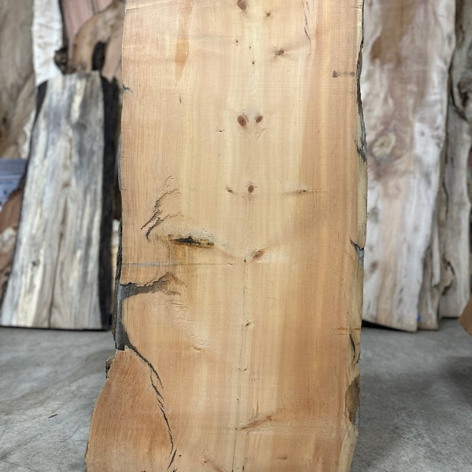 LiveEdge Bristlecone Pine | Bristlecone Pine | Hamilton Lee Supply