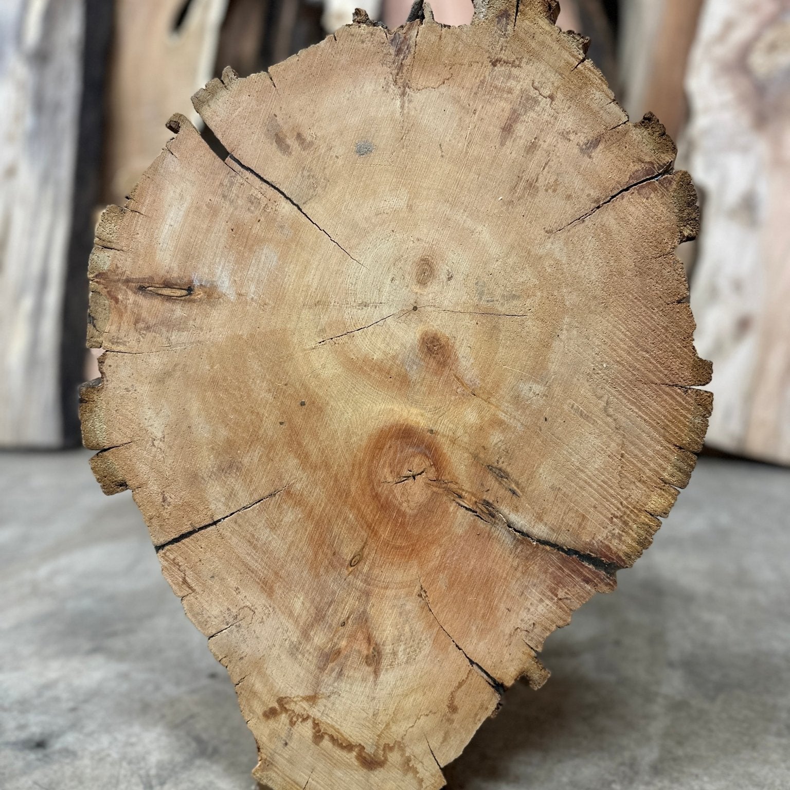 LiveEdge Bristlecone Pine | Bristlecone Pine | Hamilton Lee Supply
