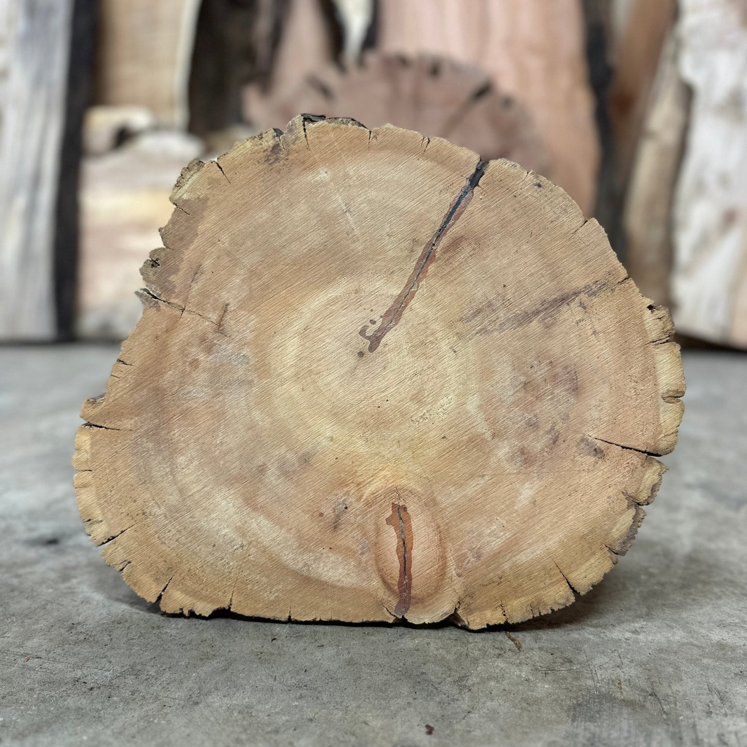 LiveEdge Bristlecone Pine | Bristlecone Pine | Hamilton Lee Supply