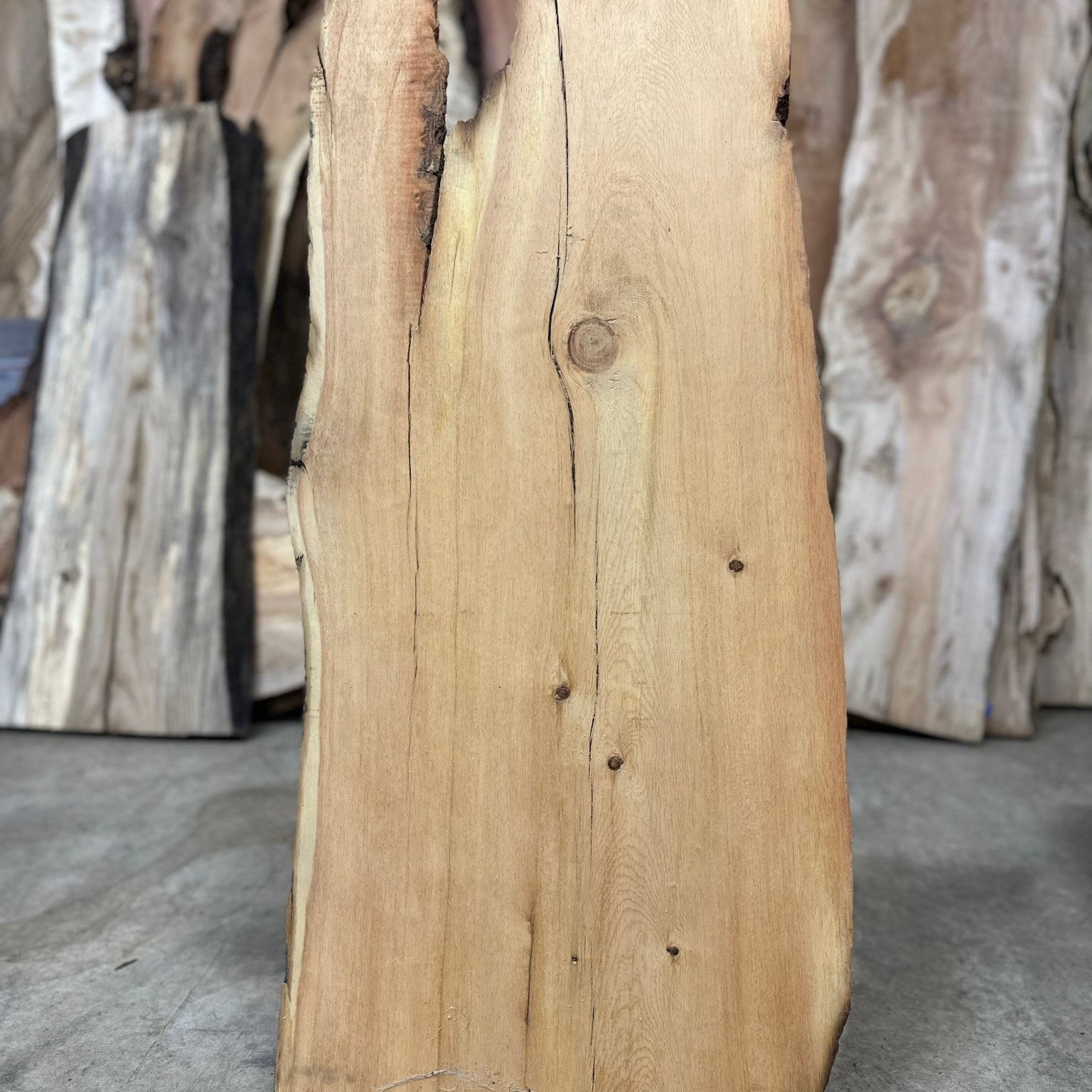 LiveEdge Bristlecone Pine | Bristlecone Pine | Hamilton Lee Supply