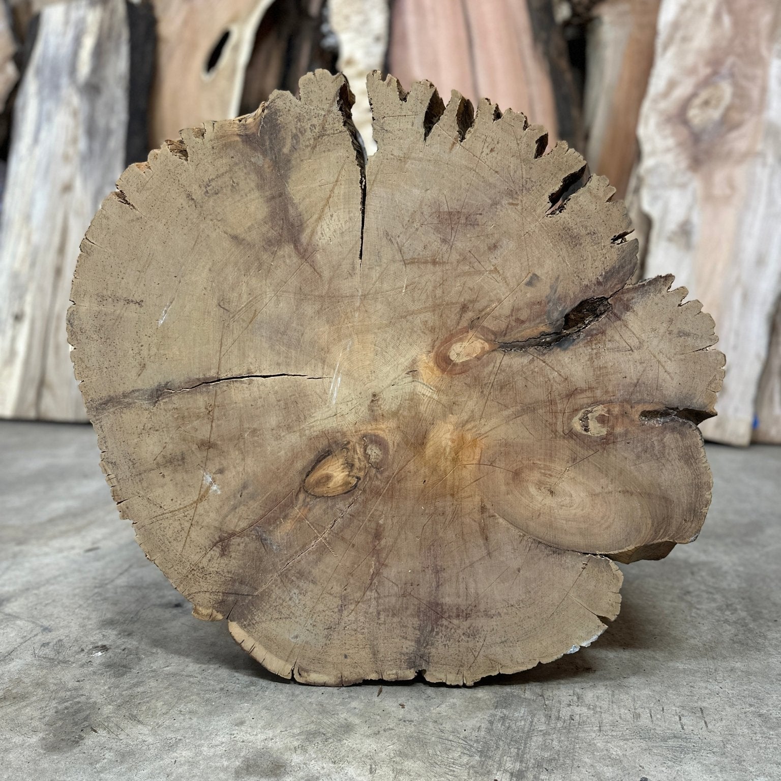LiveEdge Bristlecone Pine | Bristlecone Pine | Hamilton Lee Supply