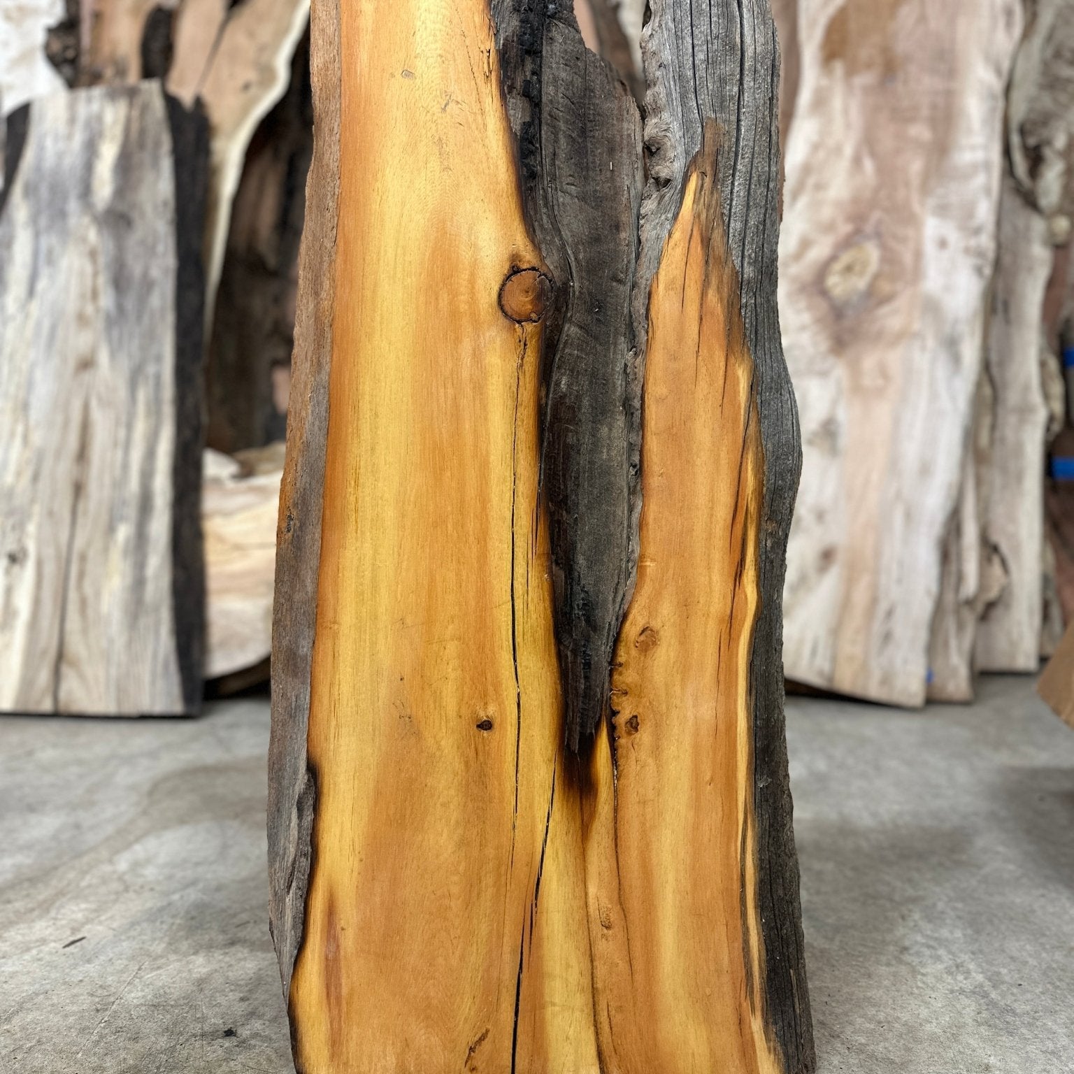 LiveEdge Bristlecone Pine | Bristlecone Pine | Hamilton Lee Supply