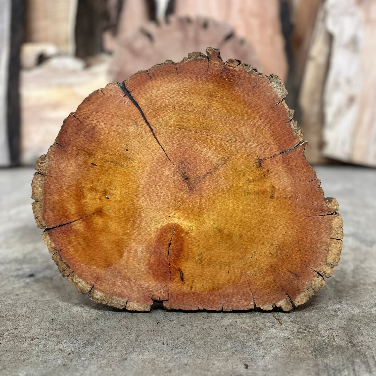LiveEdge Bristlecone Pine | Bristlecone Pine | Hamilton Lee Supply