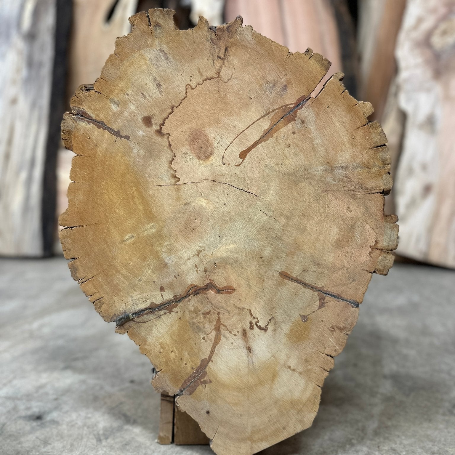 LiveEdge Bristlecone Pine | Bristlecone Pine | Hamilton Lee Supply