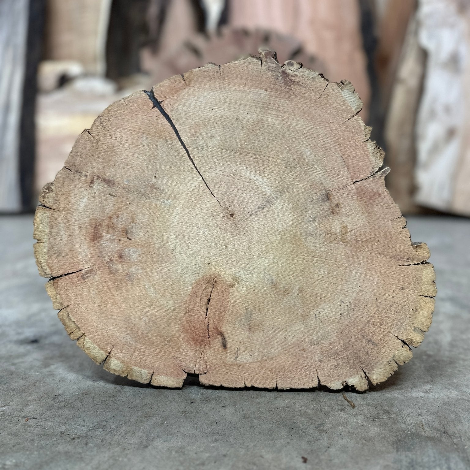 LiveEdge Bristlecone Pine | Bristlecone Pine | Hamilton Lee Supply