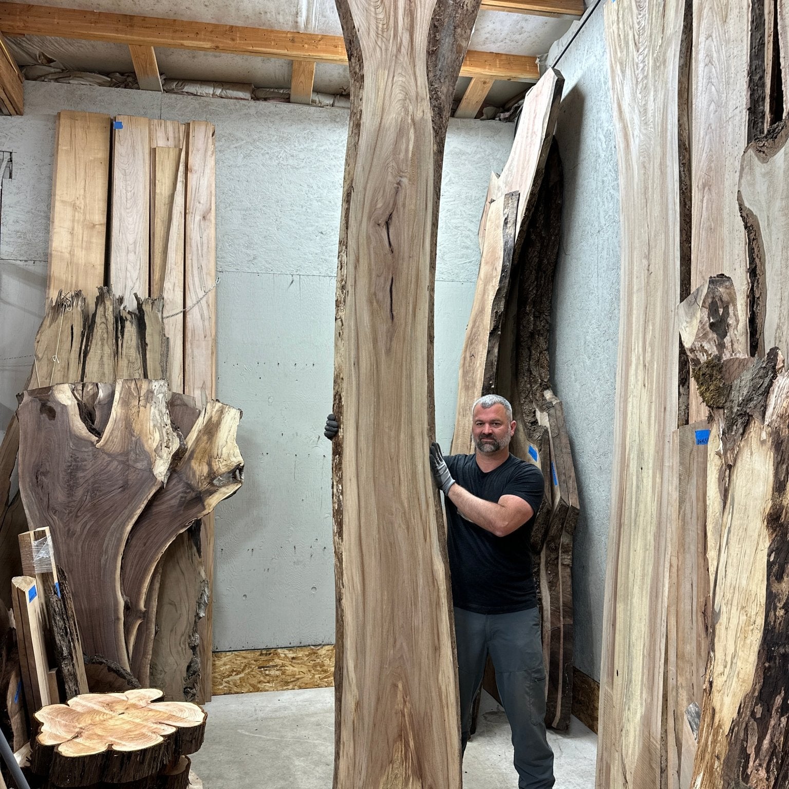 LiveEdge Cedar Elm | Cedar Elm | Hamilton Lee Supply