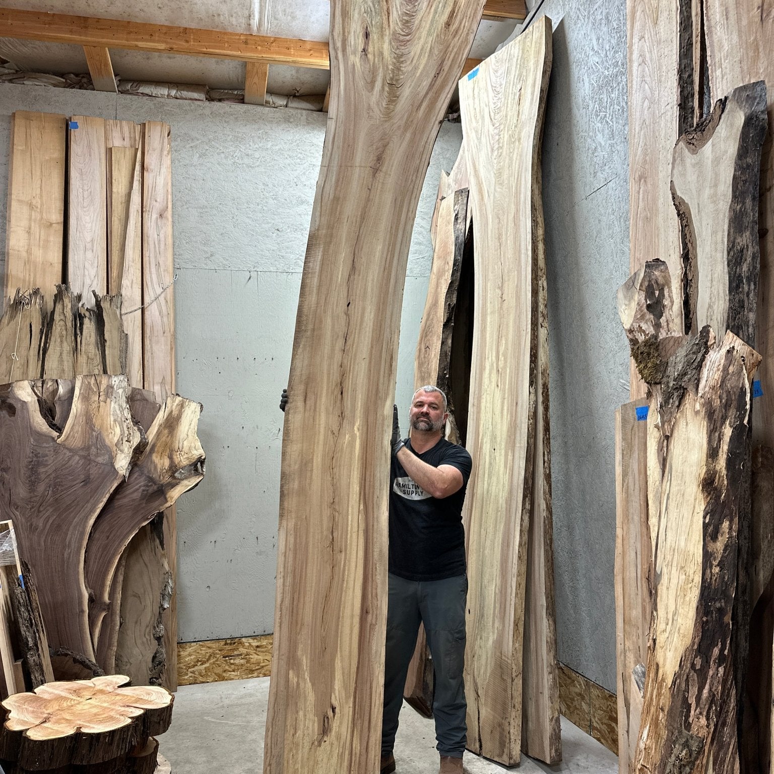 LiveEdge Cedar Elm | Cedar Elm | Hamilton Lee Supply