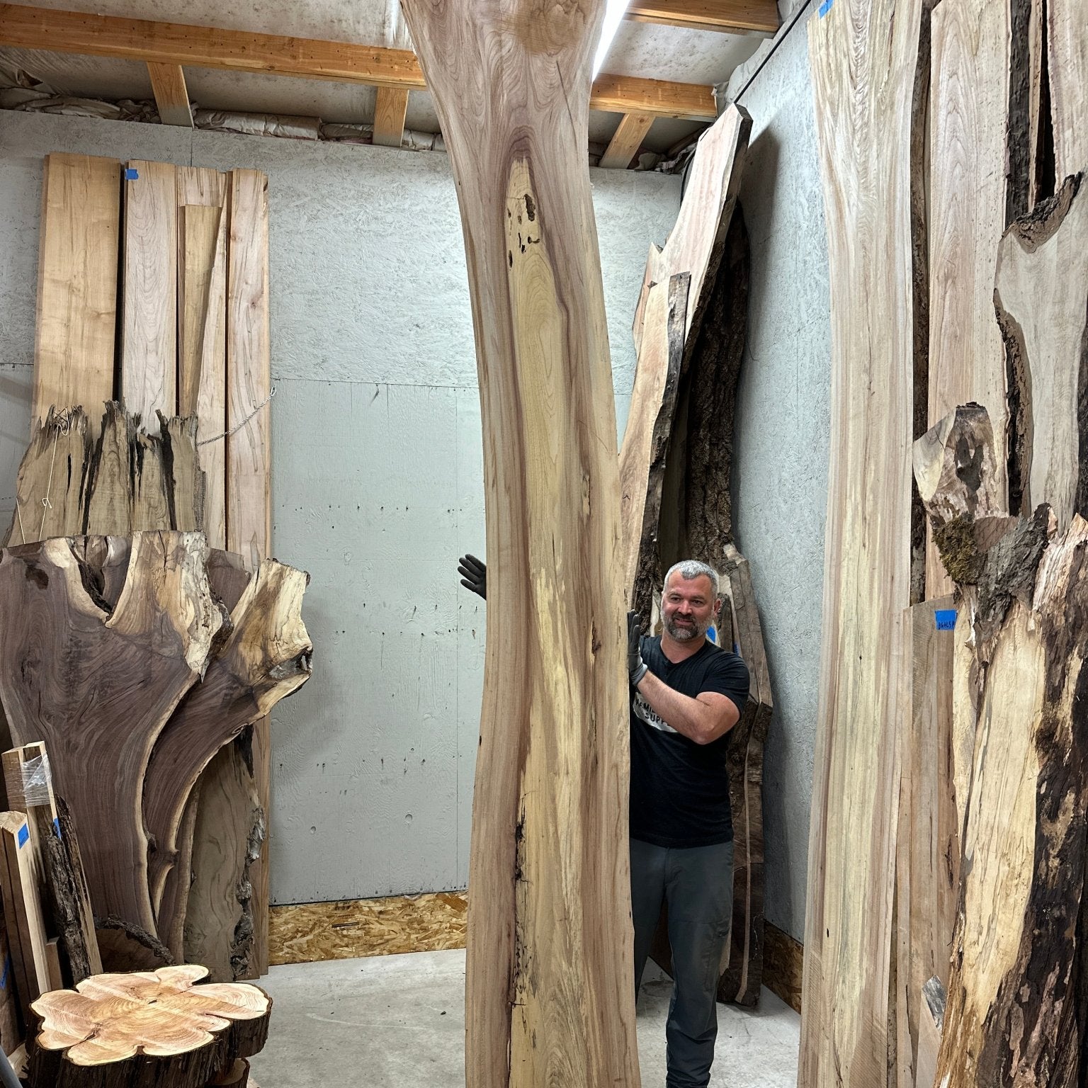 LiveEdge Cedar Elm | Cedar Elm | Hamilton Lee Supply