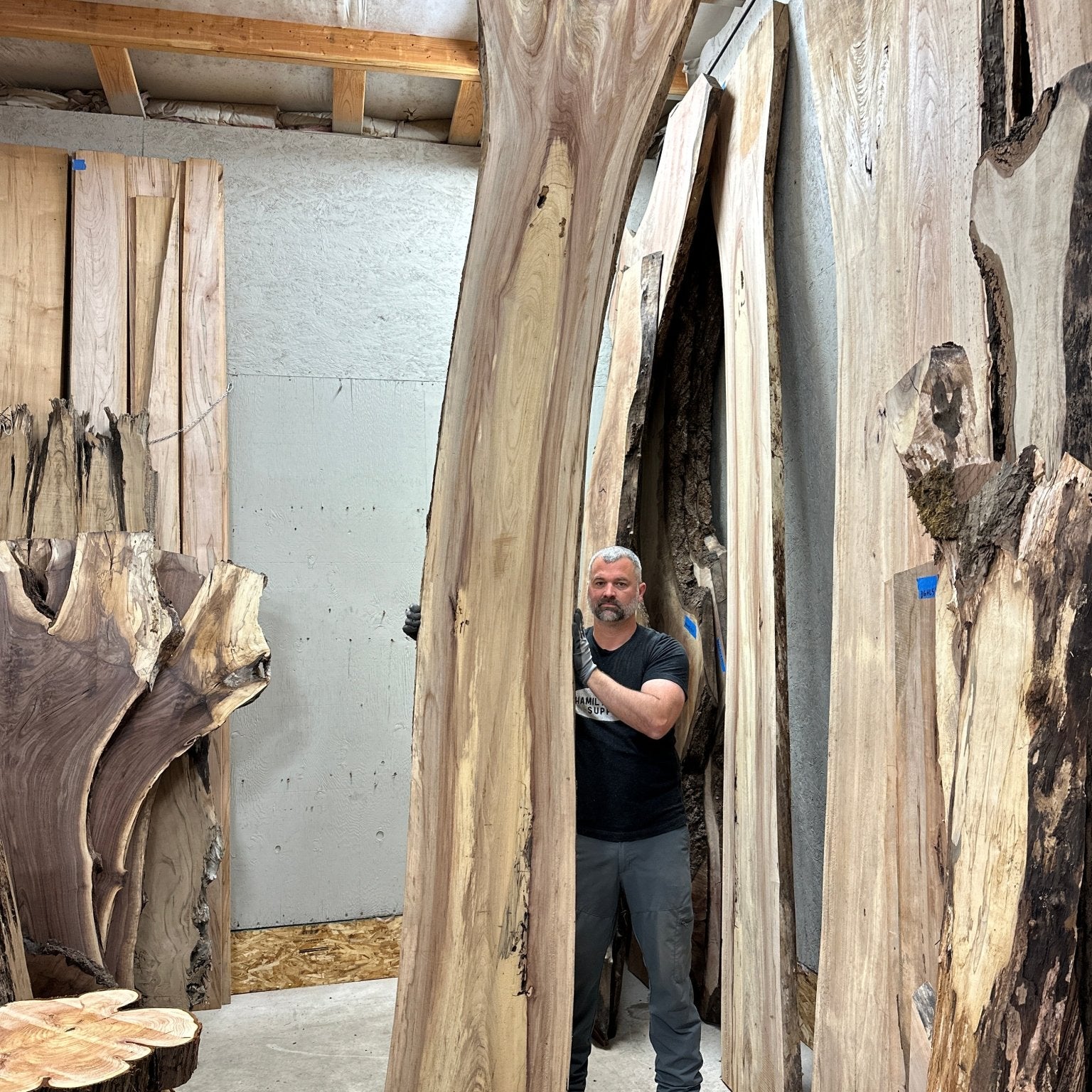 LiveEdge Cedar Elm | Cedar Elm | Hamilton Lee Supply