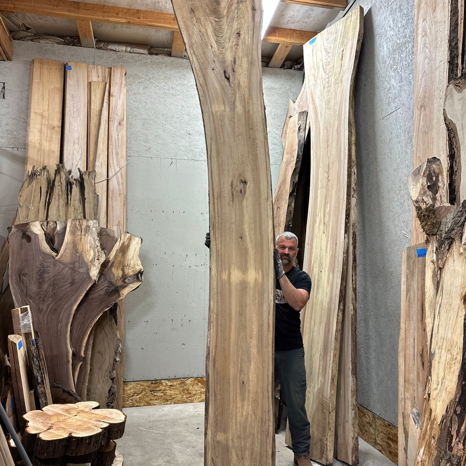 LiveEdge Cedar Elm | Cedar Elm | Hamilton Lee Supply