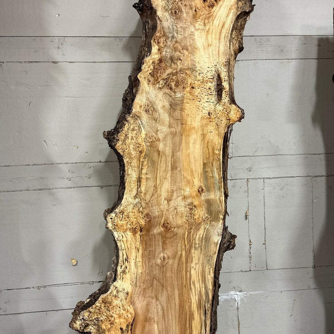 LiveEdge Cottonwood | Cottonwood | Double Diamond | BGDDCW701