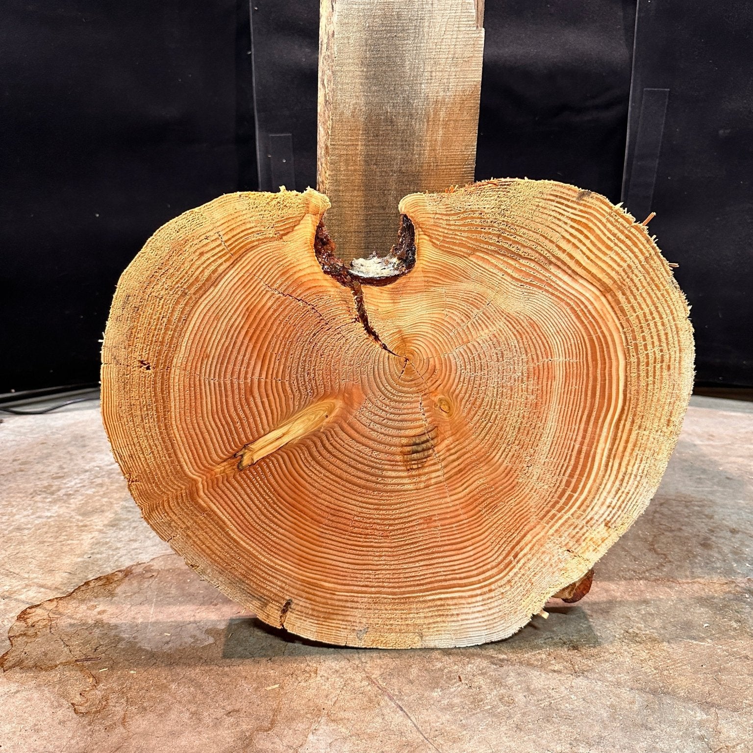 LiveEdge Douglas Fir Heart Shaped Cookie | Douglas Fir | Double Diamond