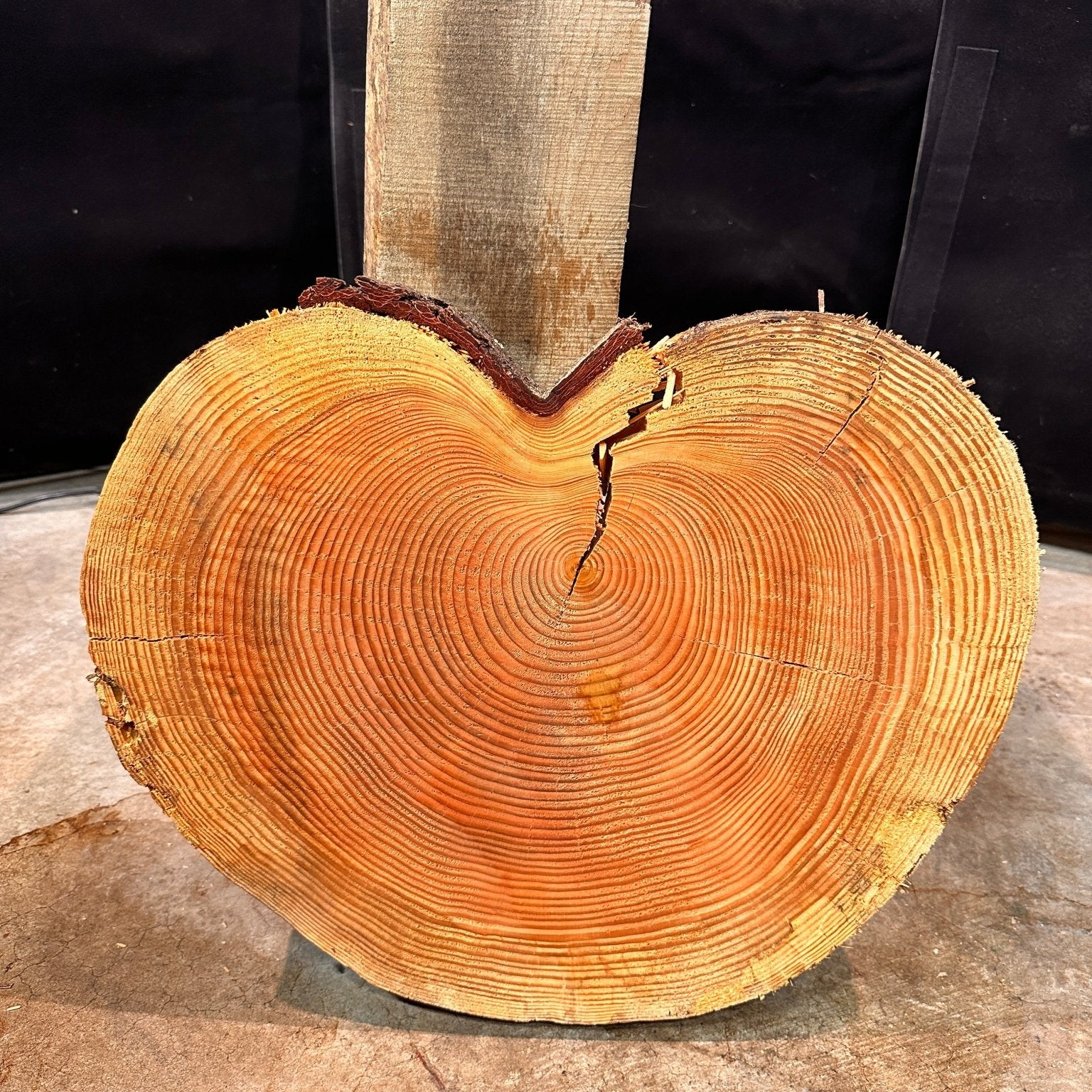 LiveEdge Douglas Fir Heart Shaped Cookie | Douglas Fir | Double Diamond