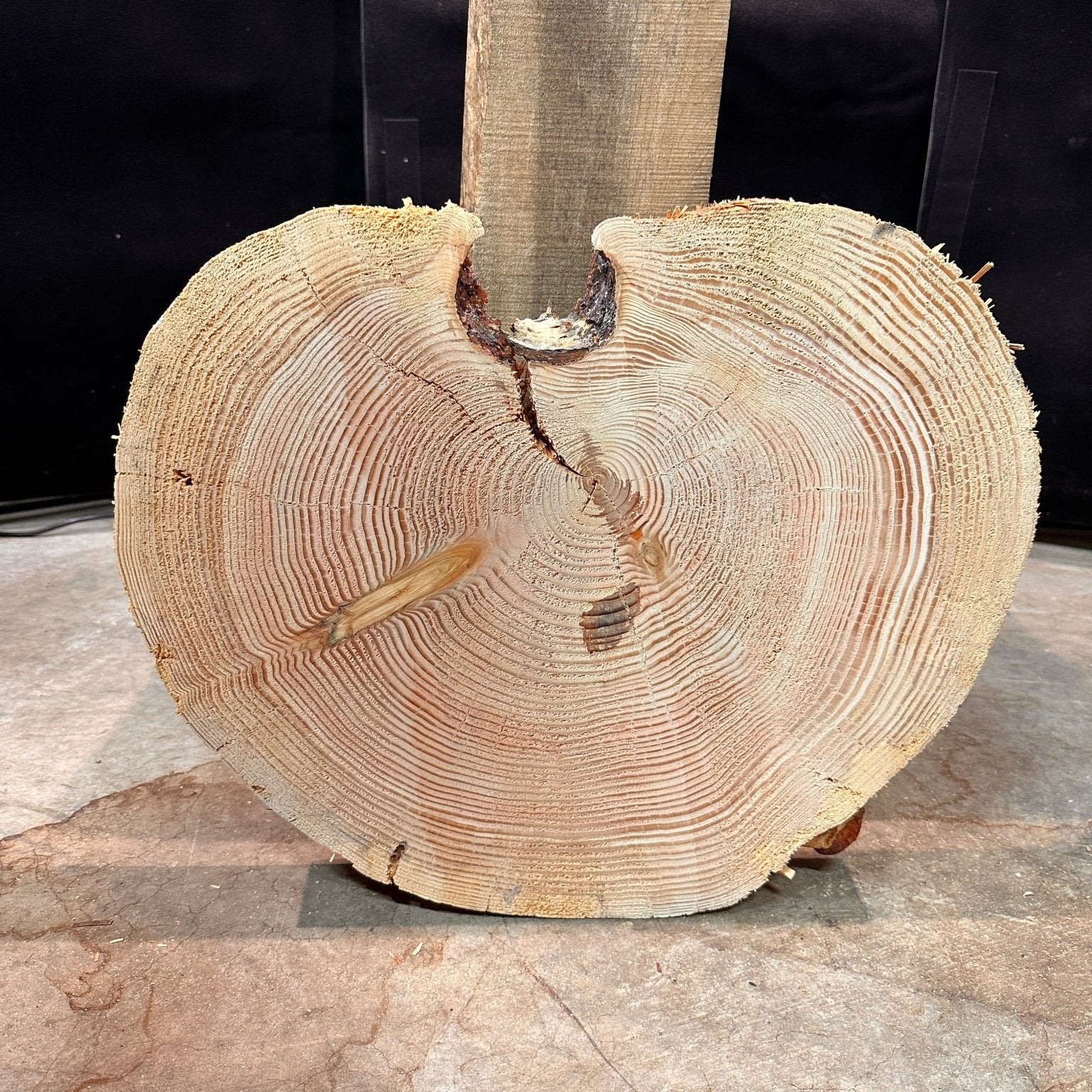 LiveEdge Douglas Fir Heart Shaped Cookie | Douglas Fir | Double Diamond