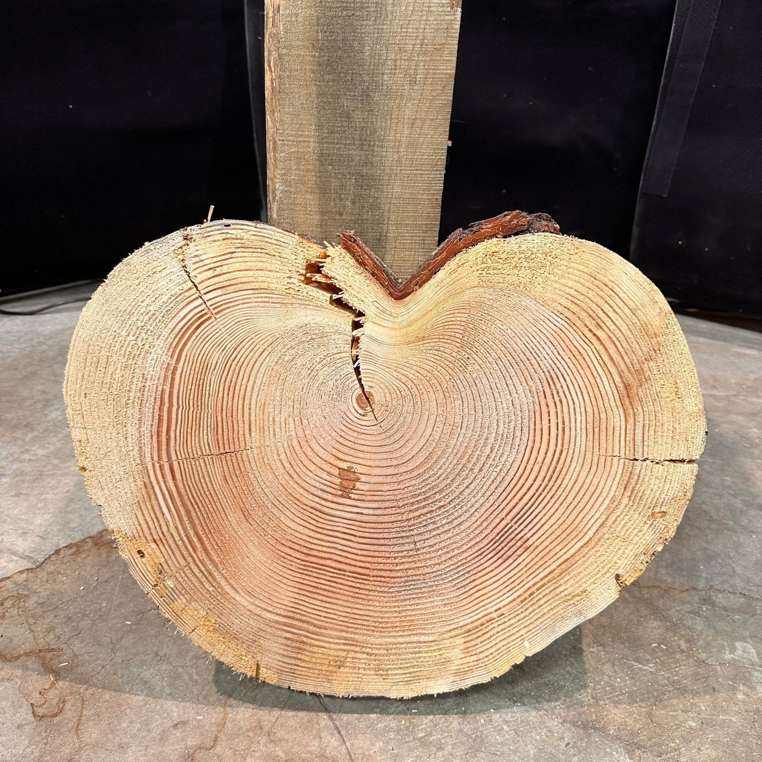 LiveEdge Douglas Fir Heart Shaped Cookie | Douglas Fir | Double Diamond