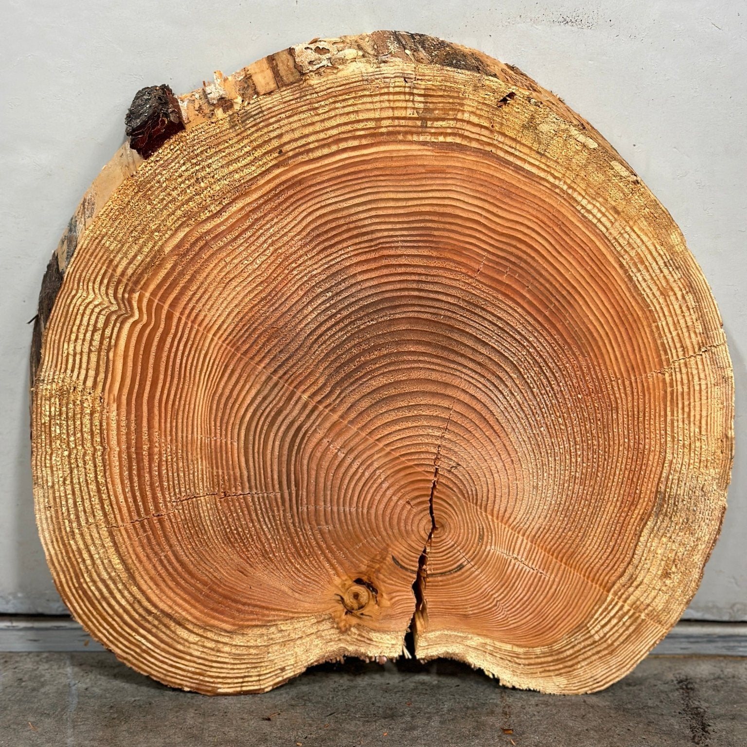 LiveEdge Douglas Fir Heart Shaped Cookie | Douglas Fir | Double Diamond | BGDDDFCS.873
