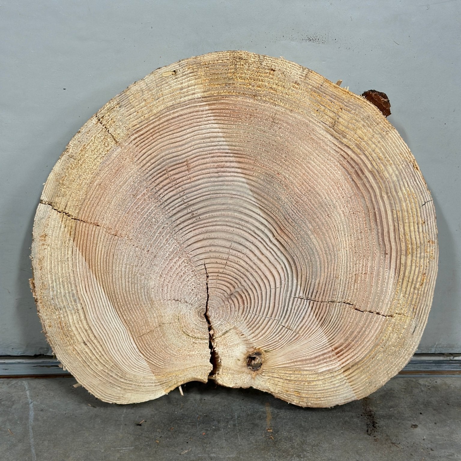 LiveEdge Douglas Fir Heart Shaped Cookie | Douglas Fir | Double Diamond | BGDDDFCS.873