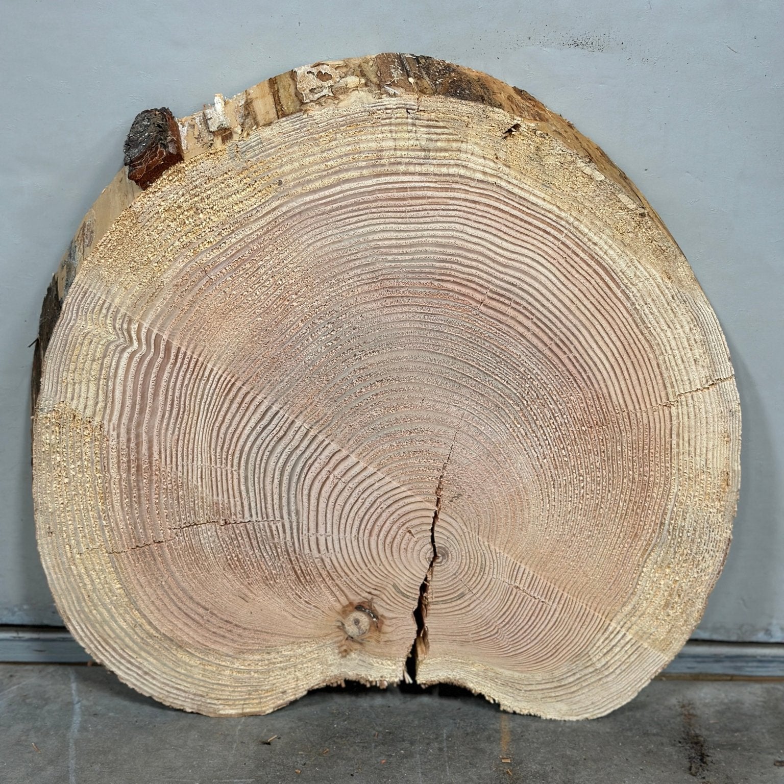 LiveEdge Douglas Fir Heart Shaped Cookie | Douglas Fir | Double Diamond | BGDDDFCS.873