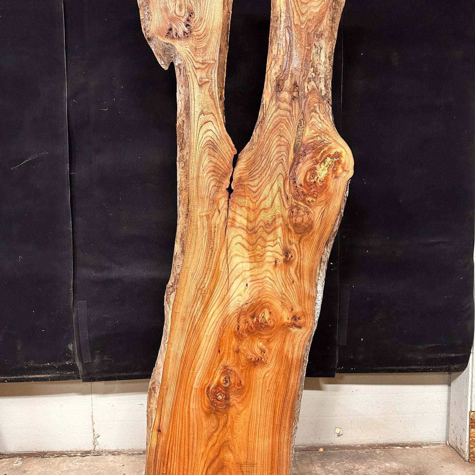 LiveEdge Elm | Elm | Double Diamond | BGDDELM667