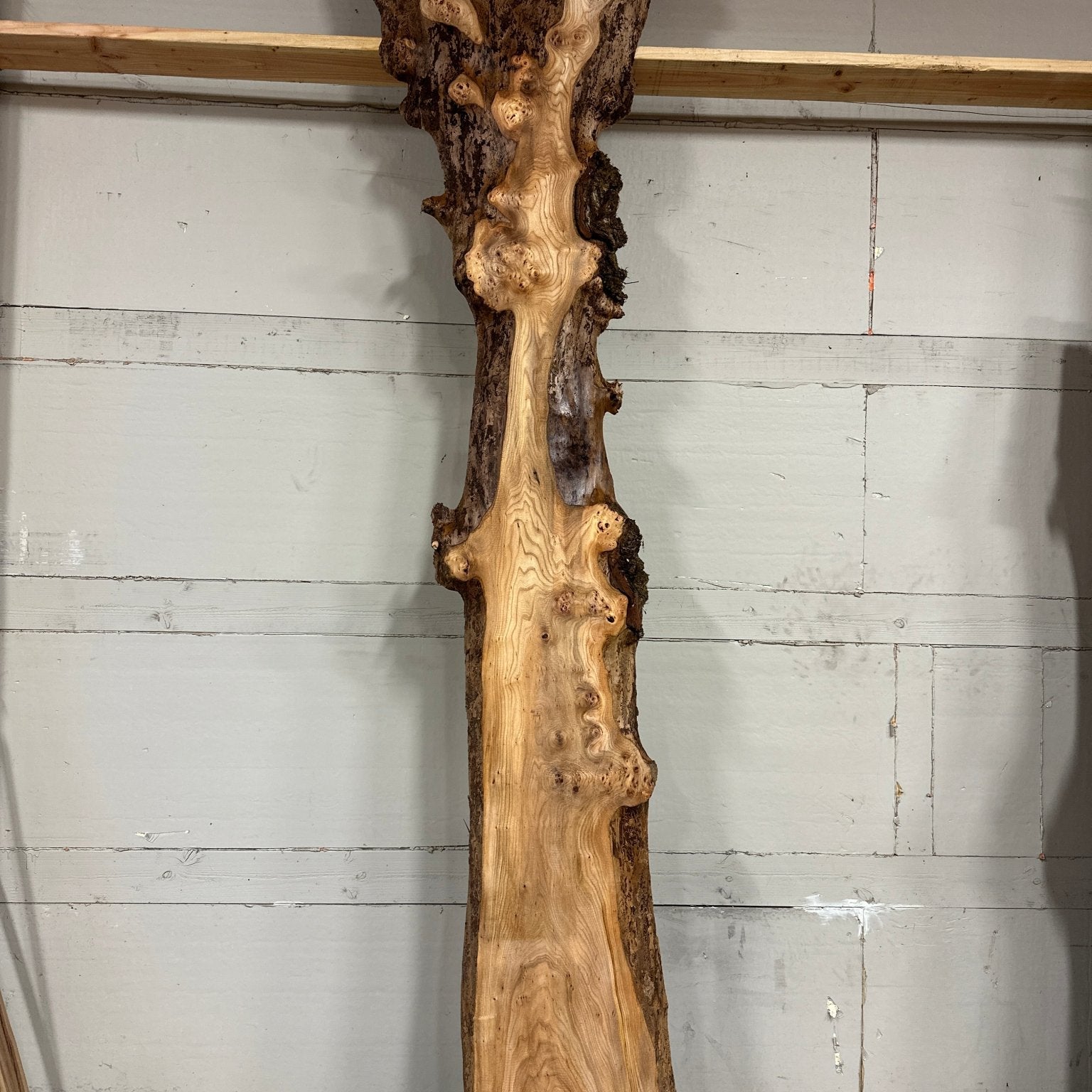 LiveEdge Elm | Elm | Double Diamond | BGDDELM713