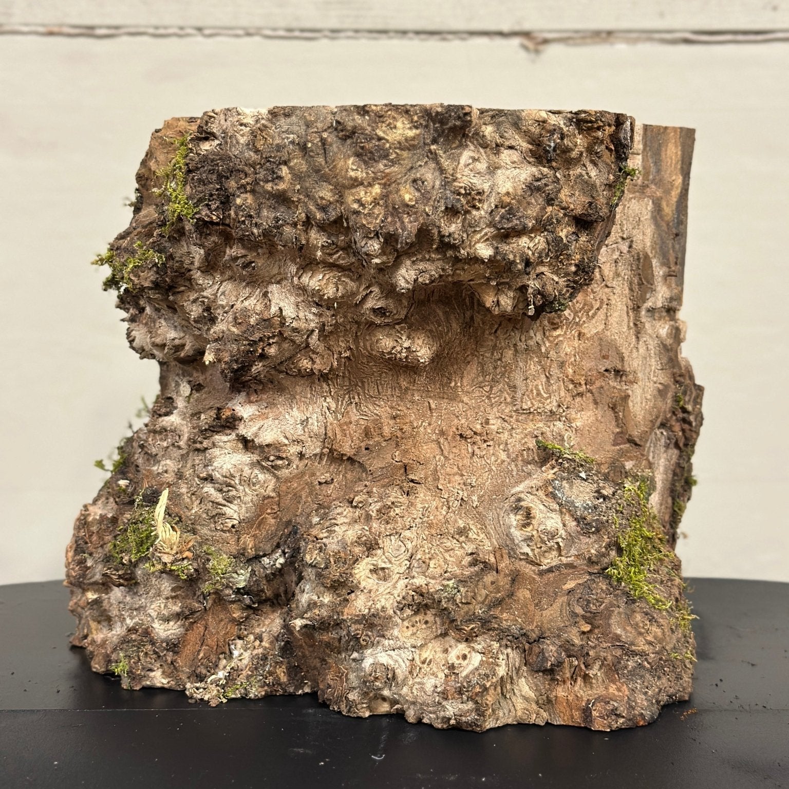 LiveEdge Elm | Elm | Double Diamond | BGDDELM729