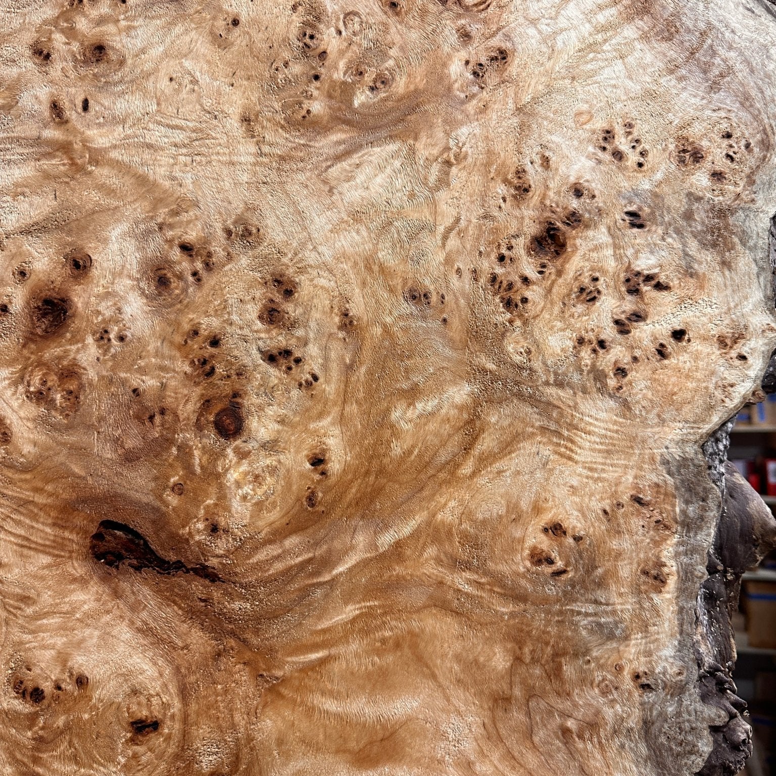 LiveEdge Mappa Burl | Mappa Burl | Double Diamond | BGDDMB664