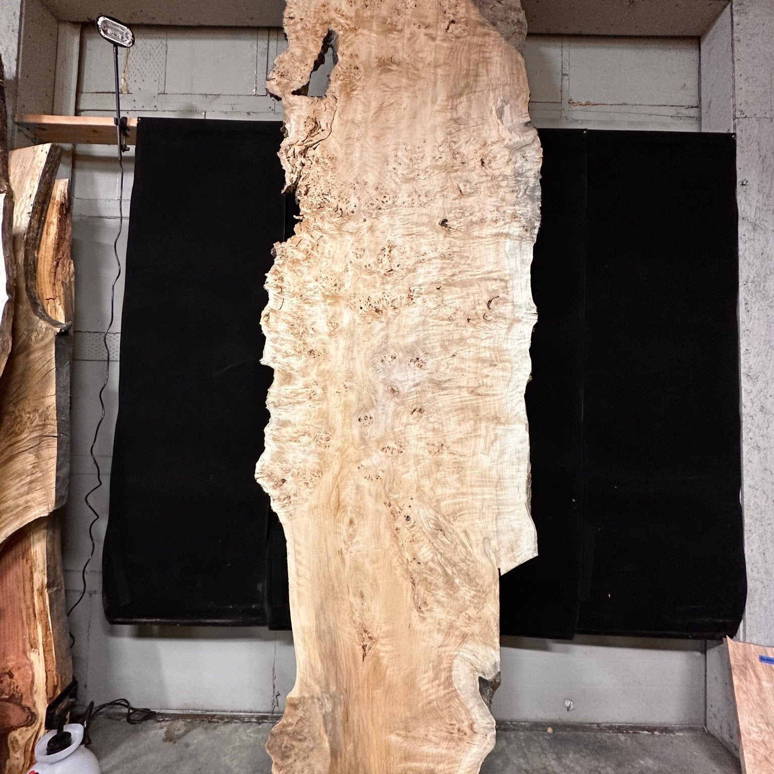 LiveEdge Mappa Burl | Mappa Burl | Double Diamond | BGDDMB666