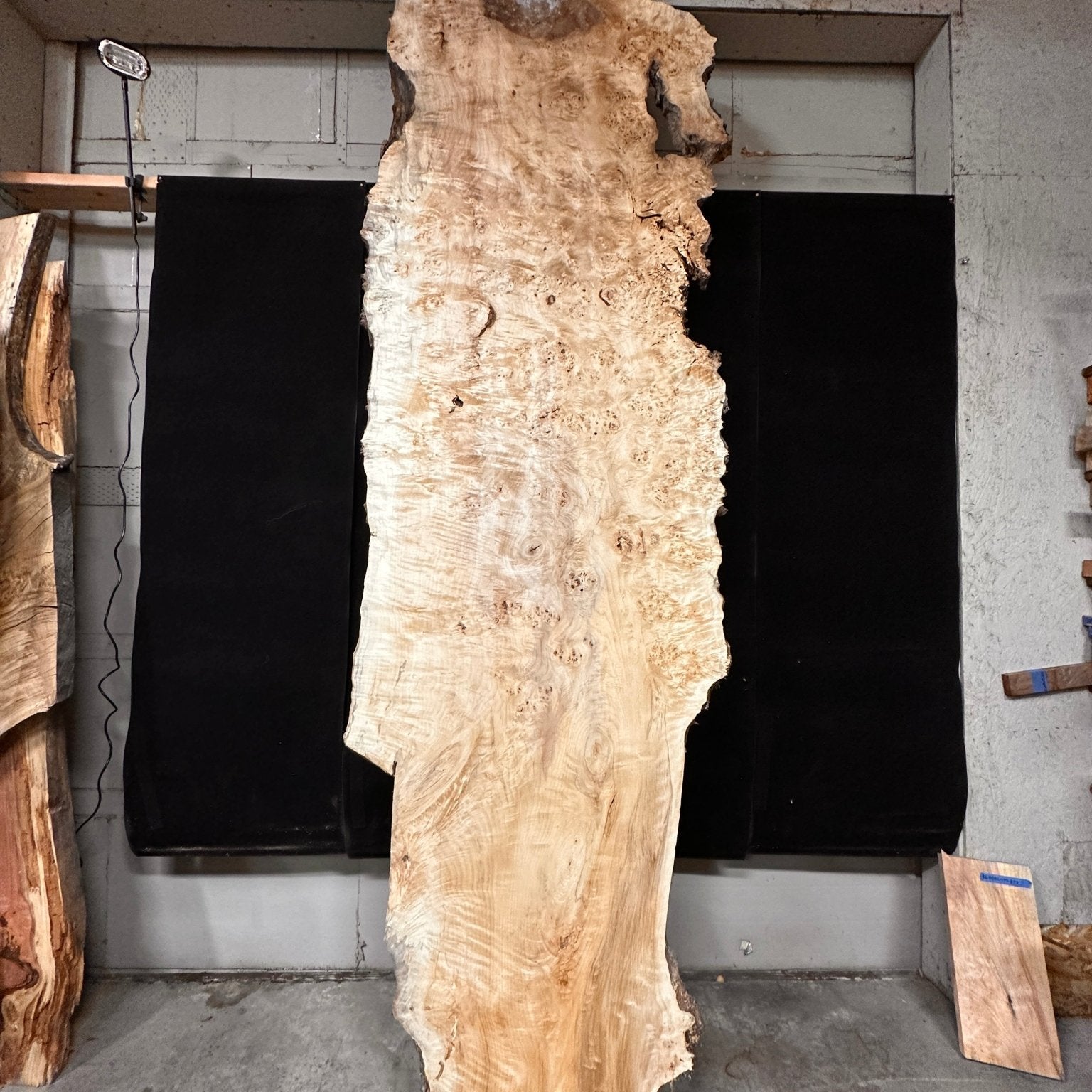 LiveEdge Mappa Burl | Mappa Burl | Double Diamond | BGDDMB666