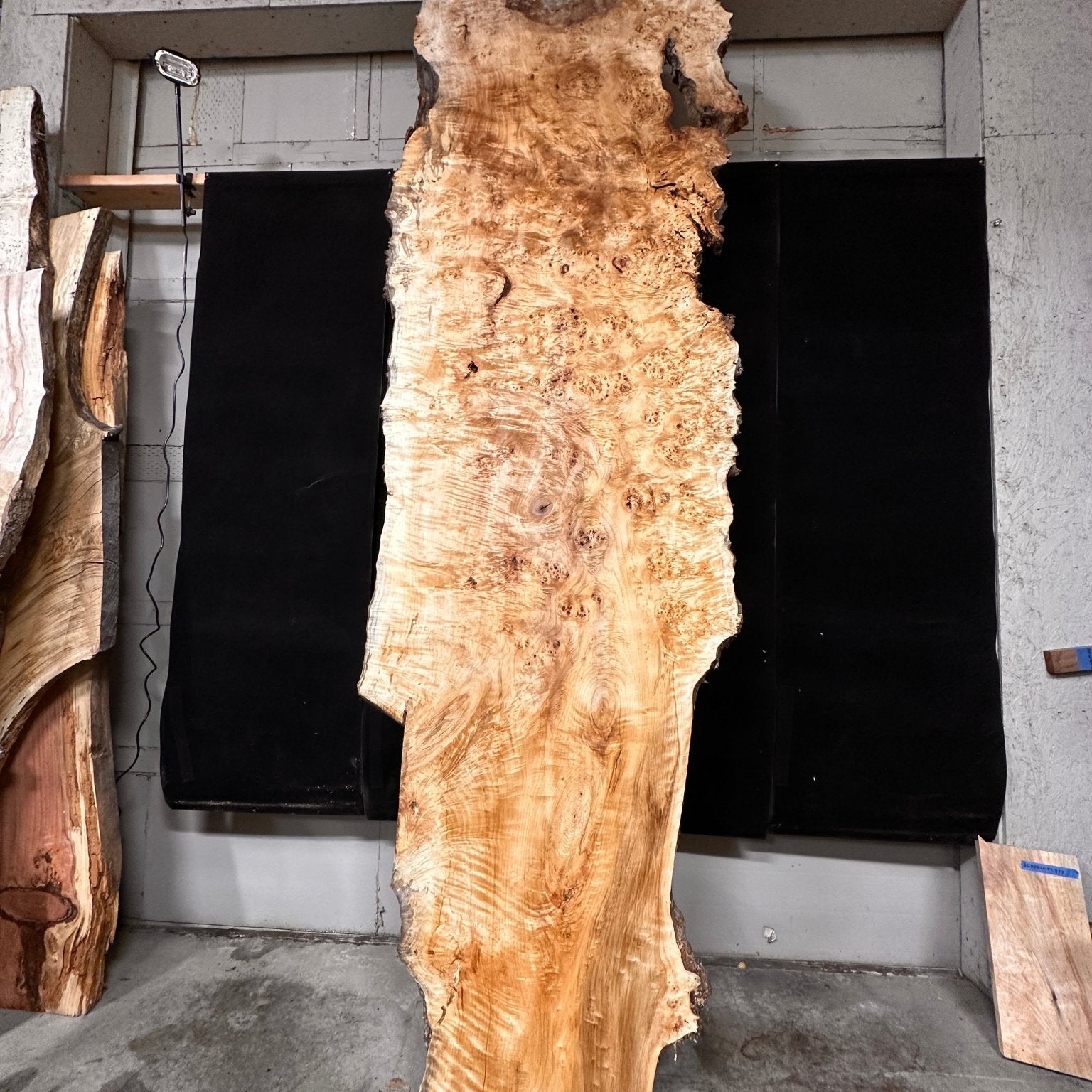 LiveEdge Mappa Burl | Mappa Burl | Double Diamond | BGDDMB666