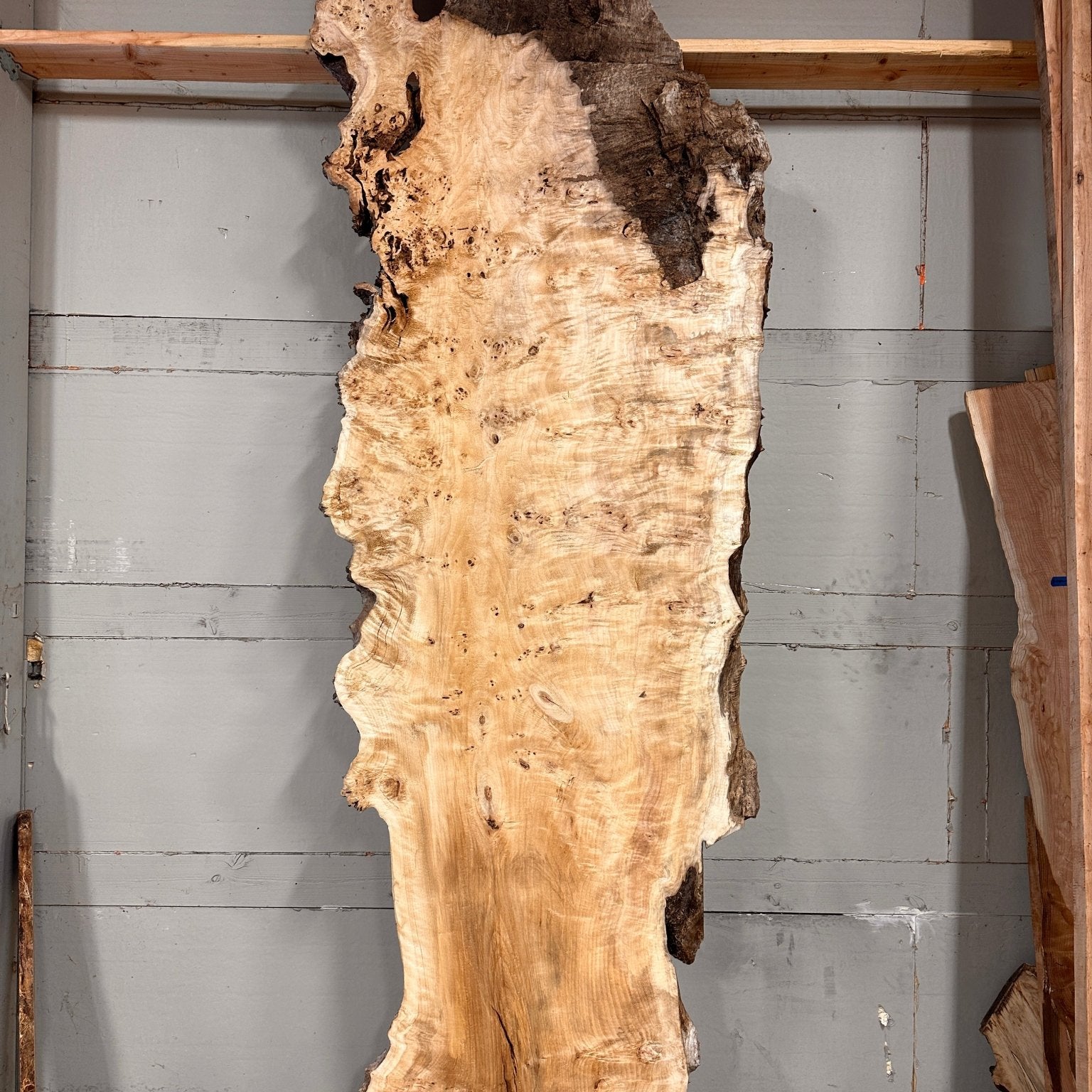 LiveEdge Mappa Burl | Mappa Burl | Double Diamond | BGDDMB683