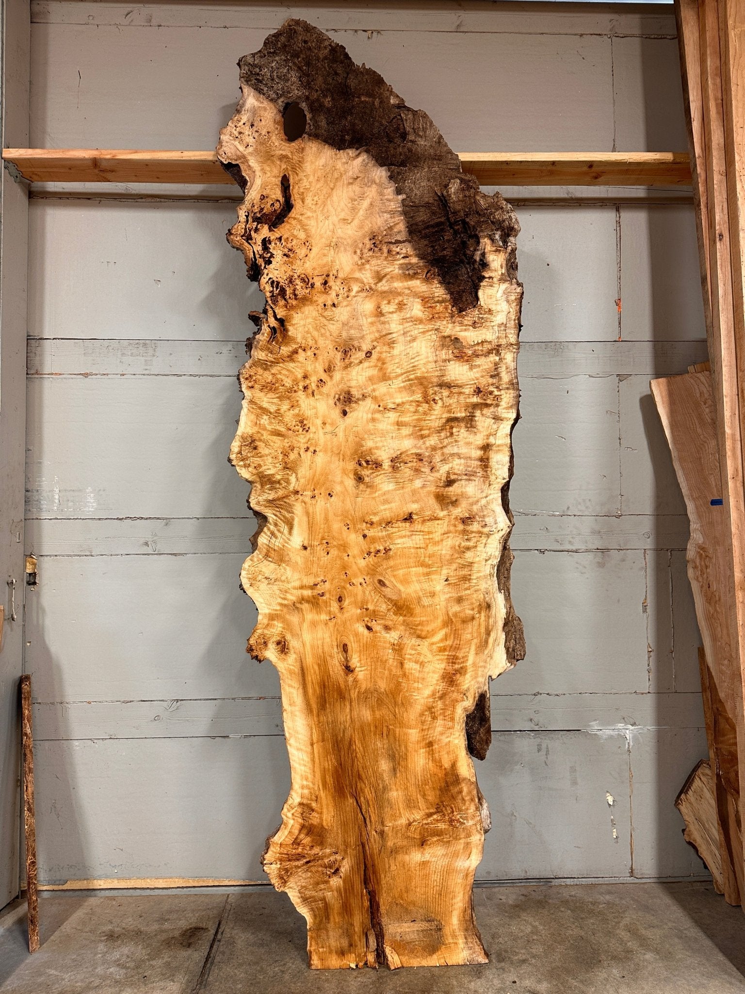 LiveEdge Mappa Burl | Mappa Burl | Double Diamond | BGDDMB683