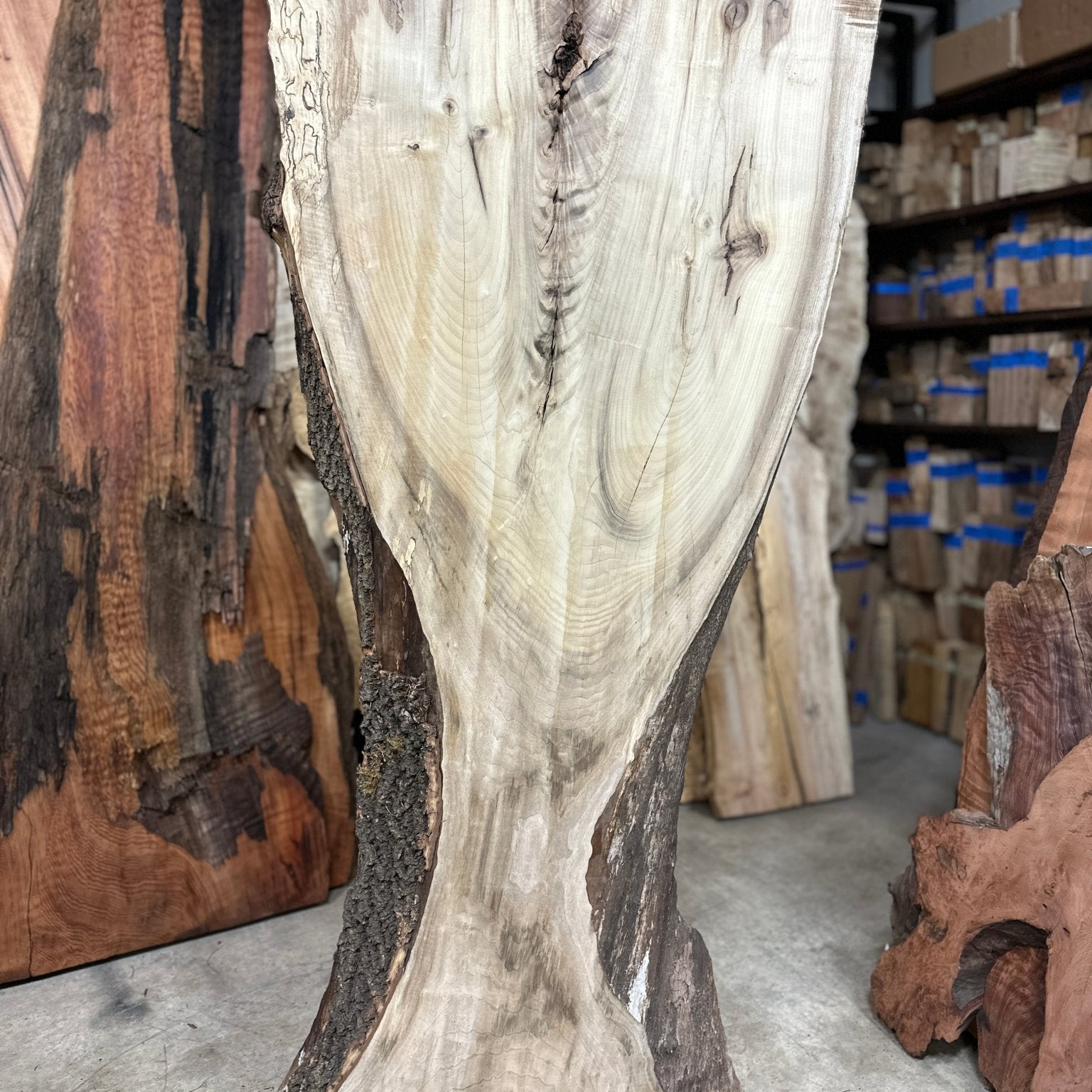LiveEdge Myrtle | Myrtle | Double Diamond
