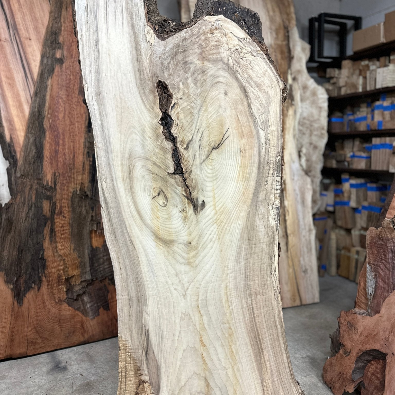 LiveEdge Myrtle | Myrtle | Double Diamond