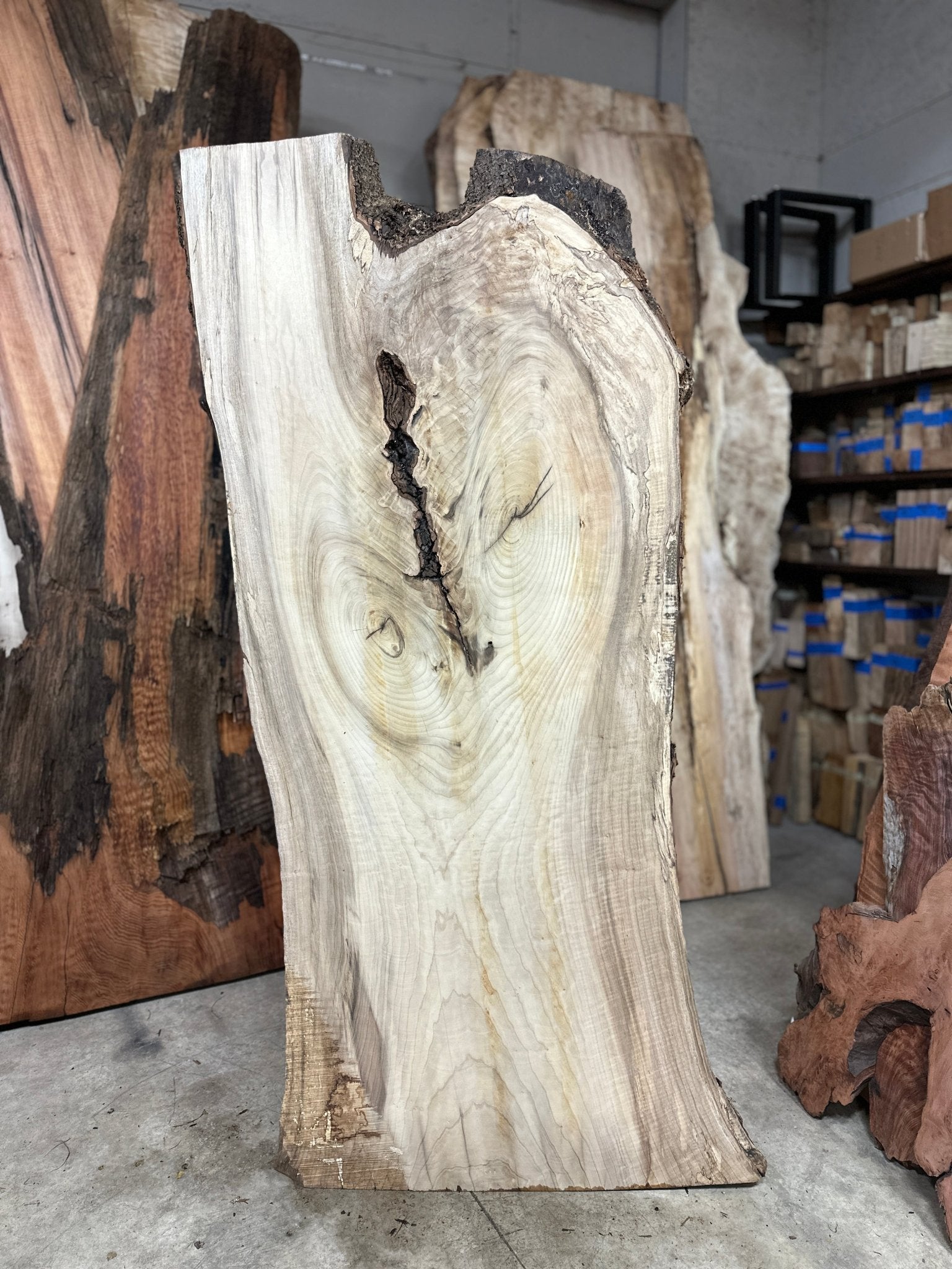 LiveEdge Myrtle | Myrtle | Double Diamond