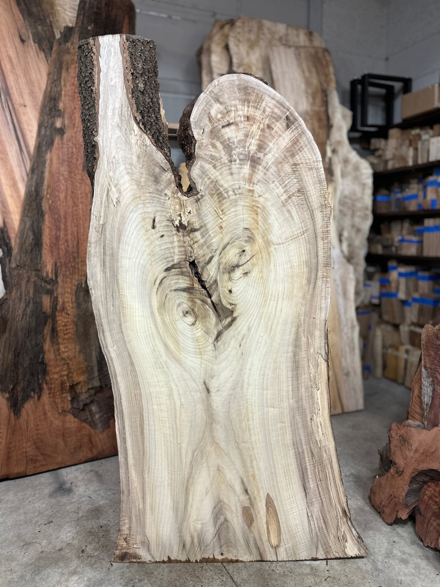 LiveEdge Myrtle | Myrtle | Double Diamond