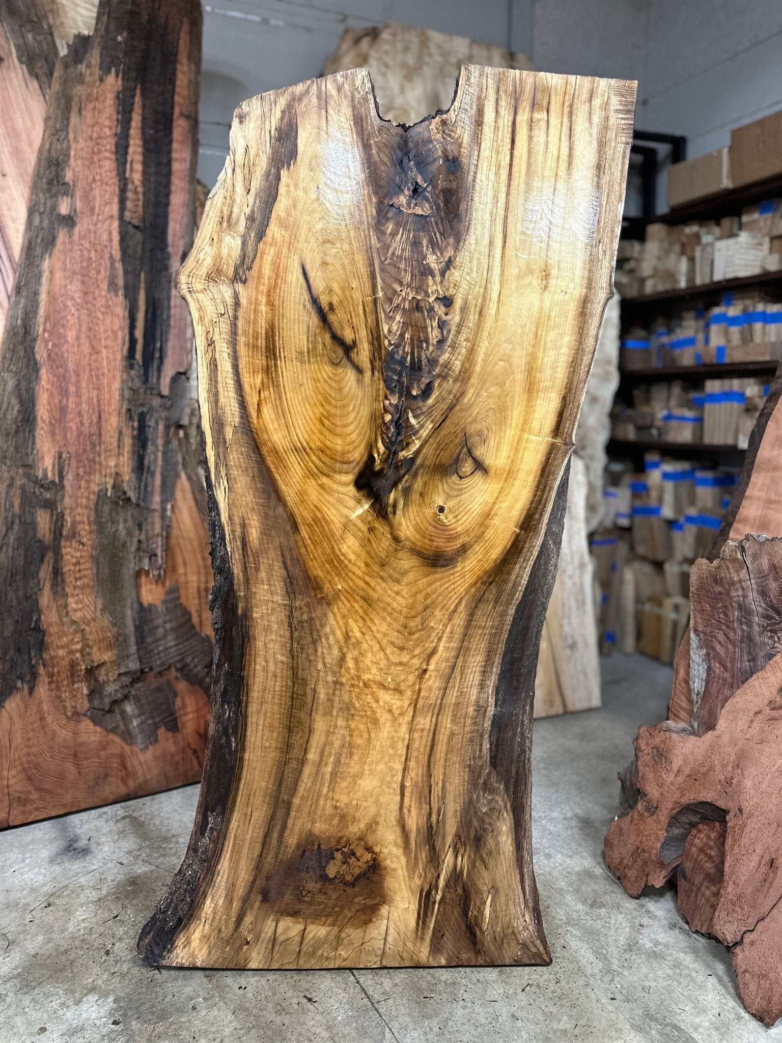 LiveEdge Myrtle | Myrtle | Double Diamond