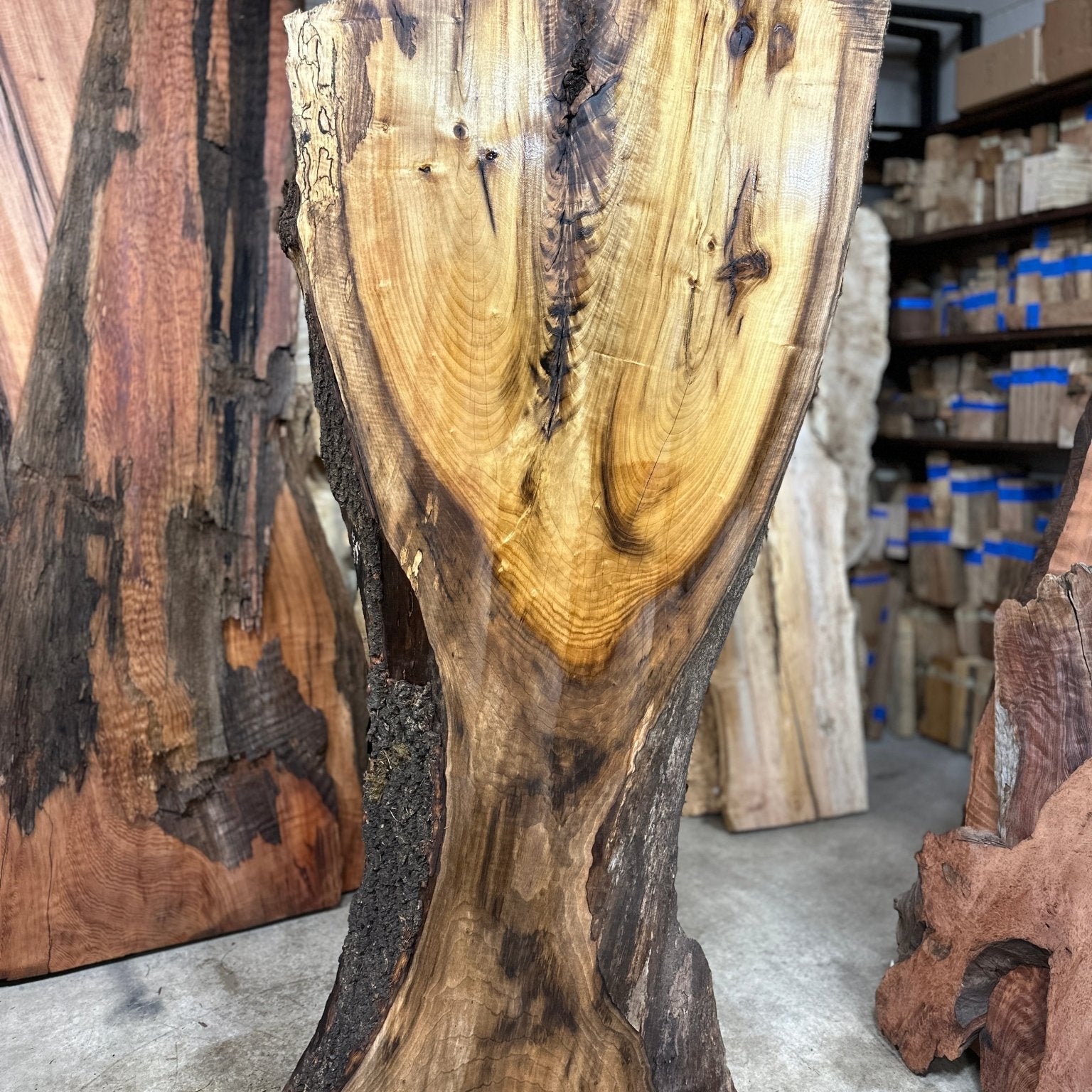 LiveEdge Myrtle | Myrtle | Double Diamond