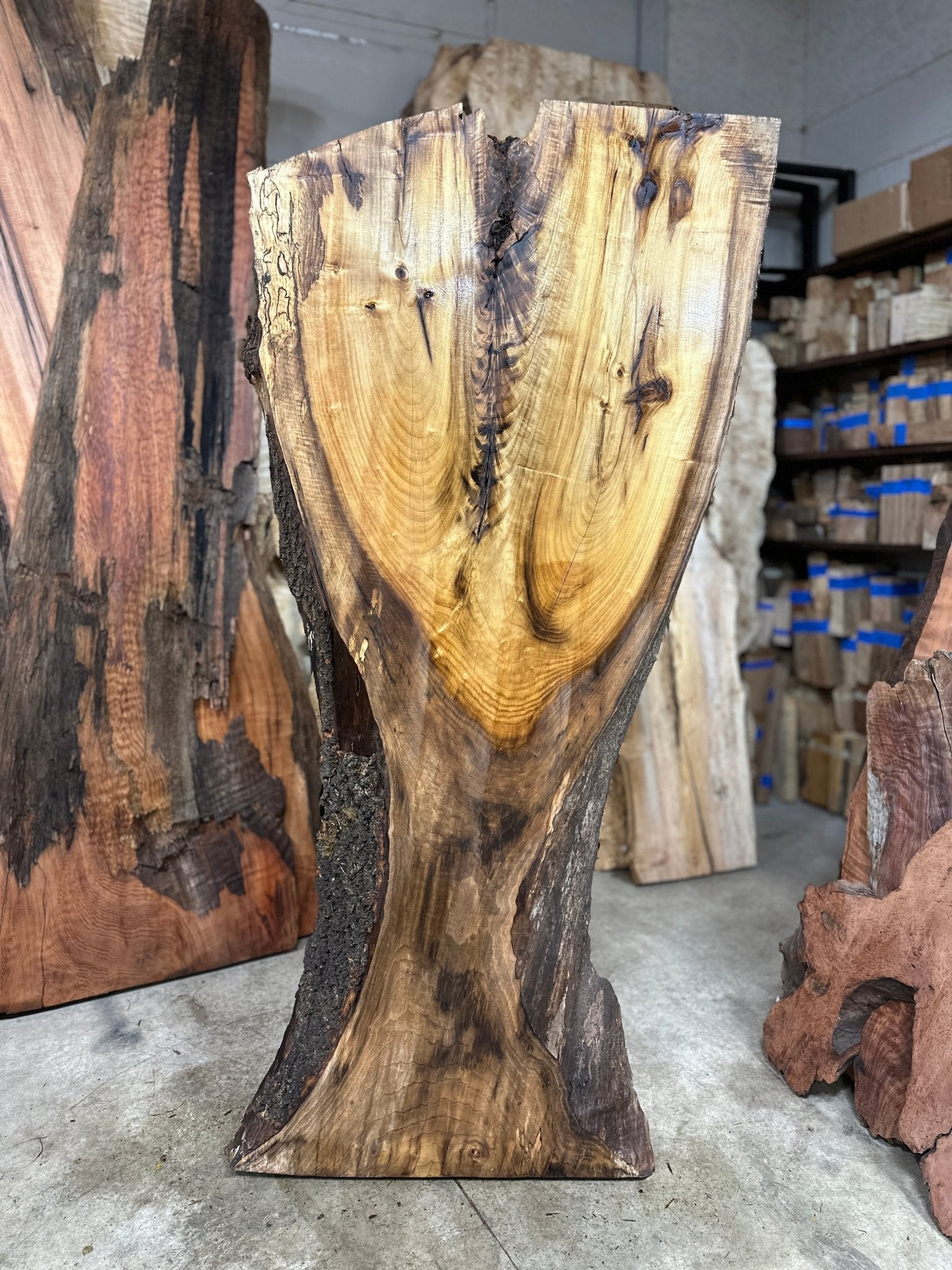LiveEdge Myrtle | Myrtle | Double Diamond