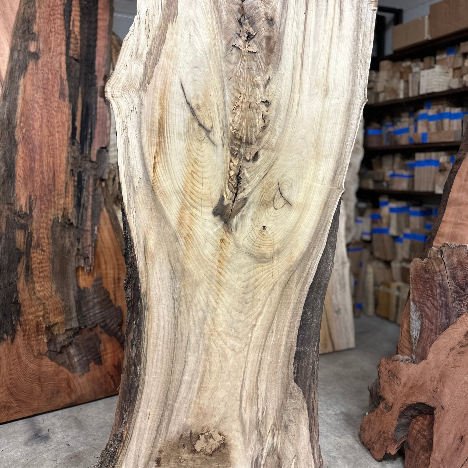 LiveEdge Myrtle | Myrtle | Double Diamond